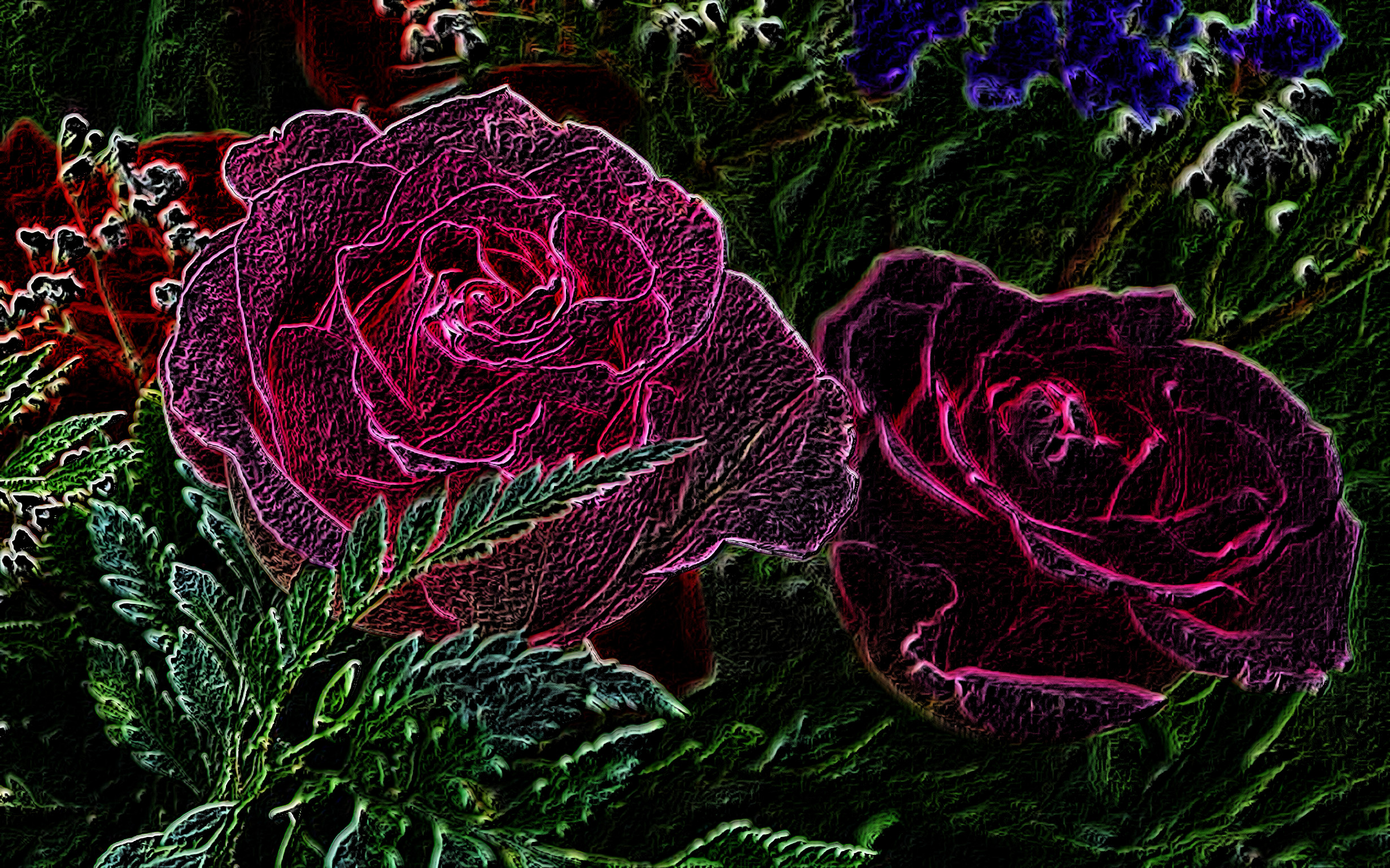 PinkRoses_DN_ColorPencilDrawOnBlackPaper_2.jpg