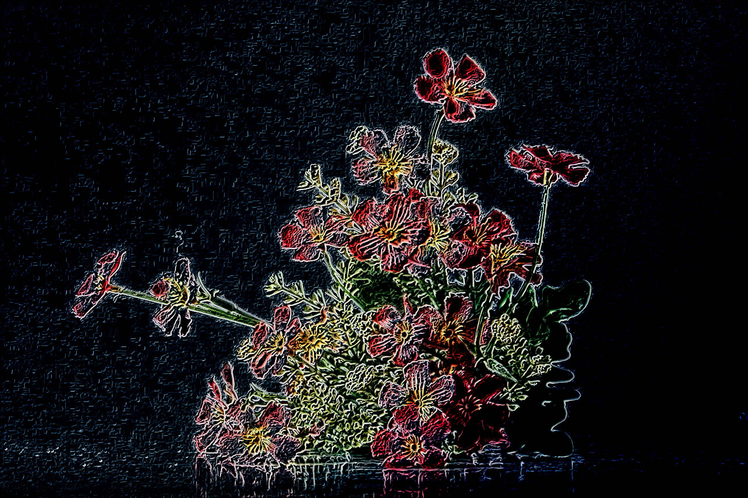 still-life-1518988_DNColorPencilDrawOnBlackPaperG.jpg
