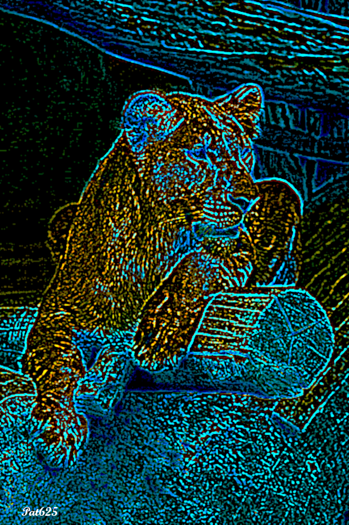 DN_CPDrawonBlack V2.Lion.jpg