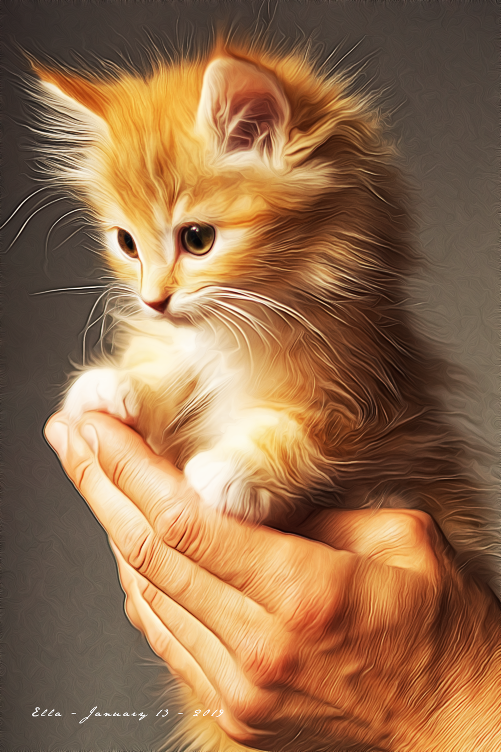Kitten_DreamSmoothing.png