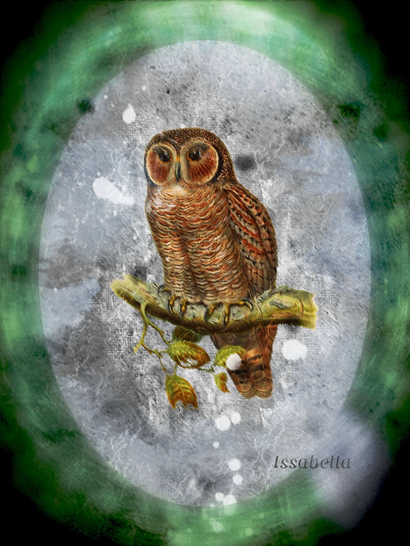 Owl_DN_Tut_Evidence_Effect.jpg