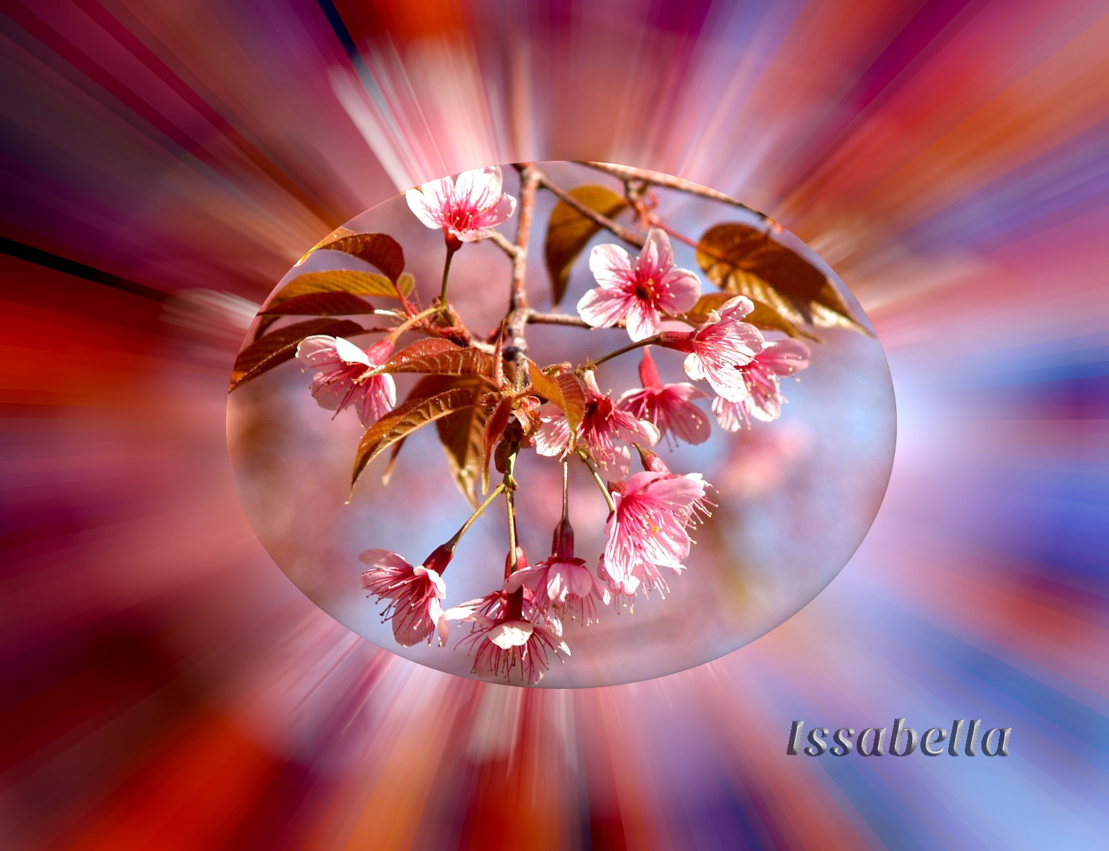 background-bloom-479391_DN_Evidence.jpg