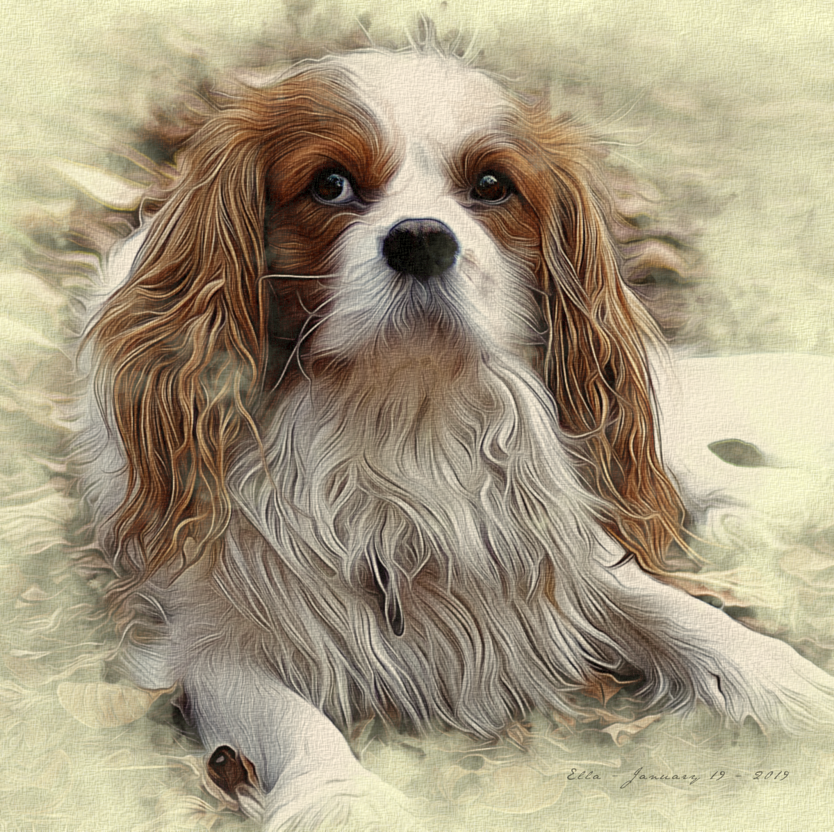 Puppy.2.png