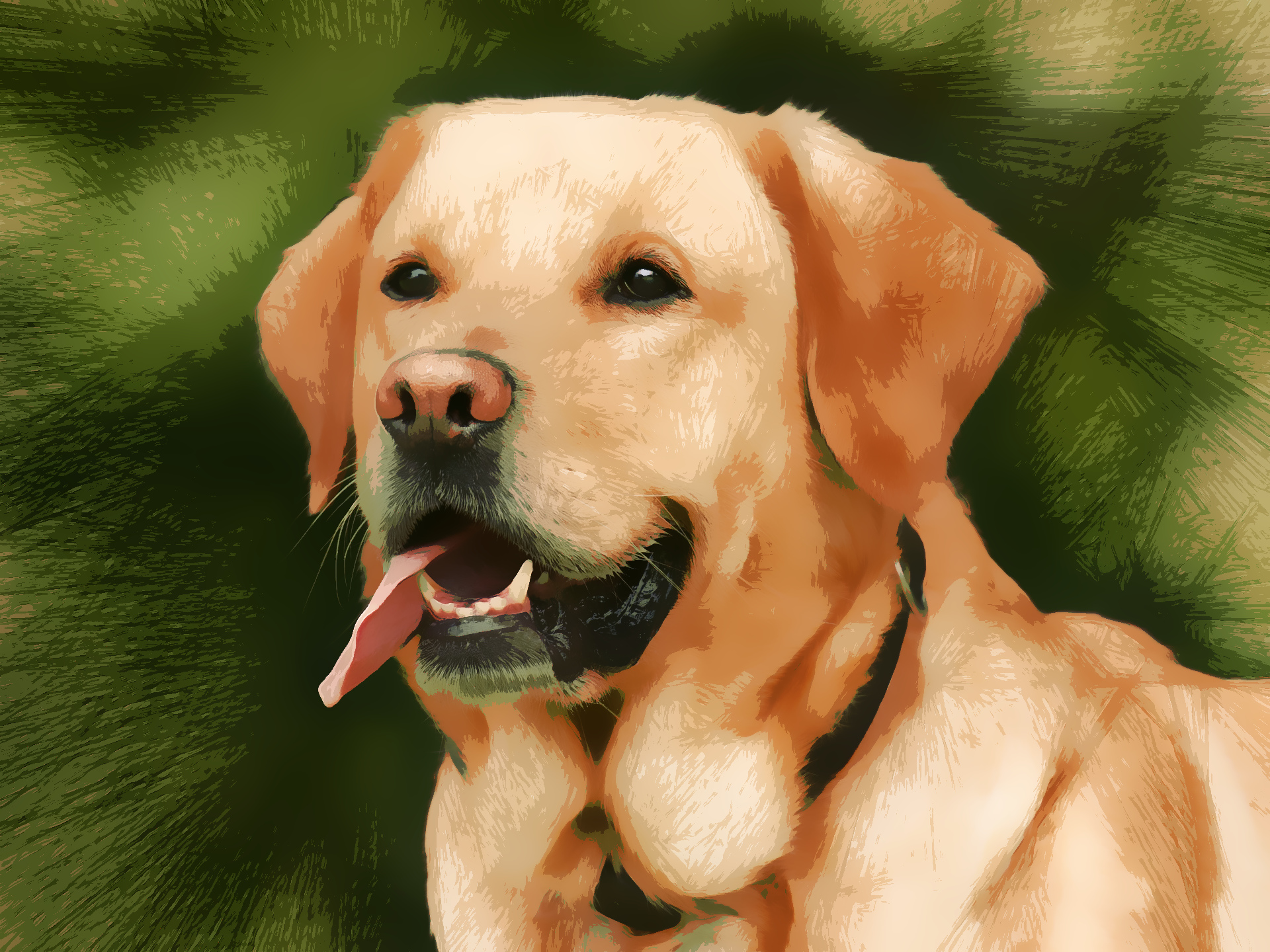 dog-1210559_1920.jpg