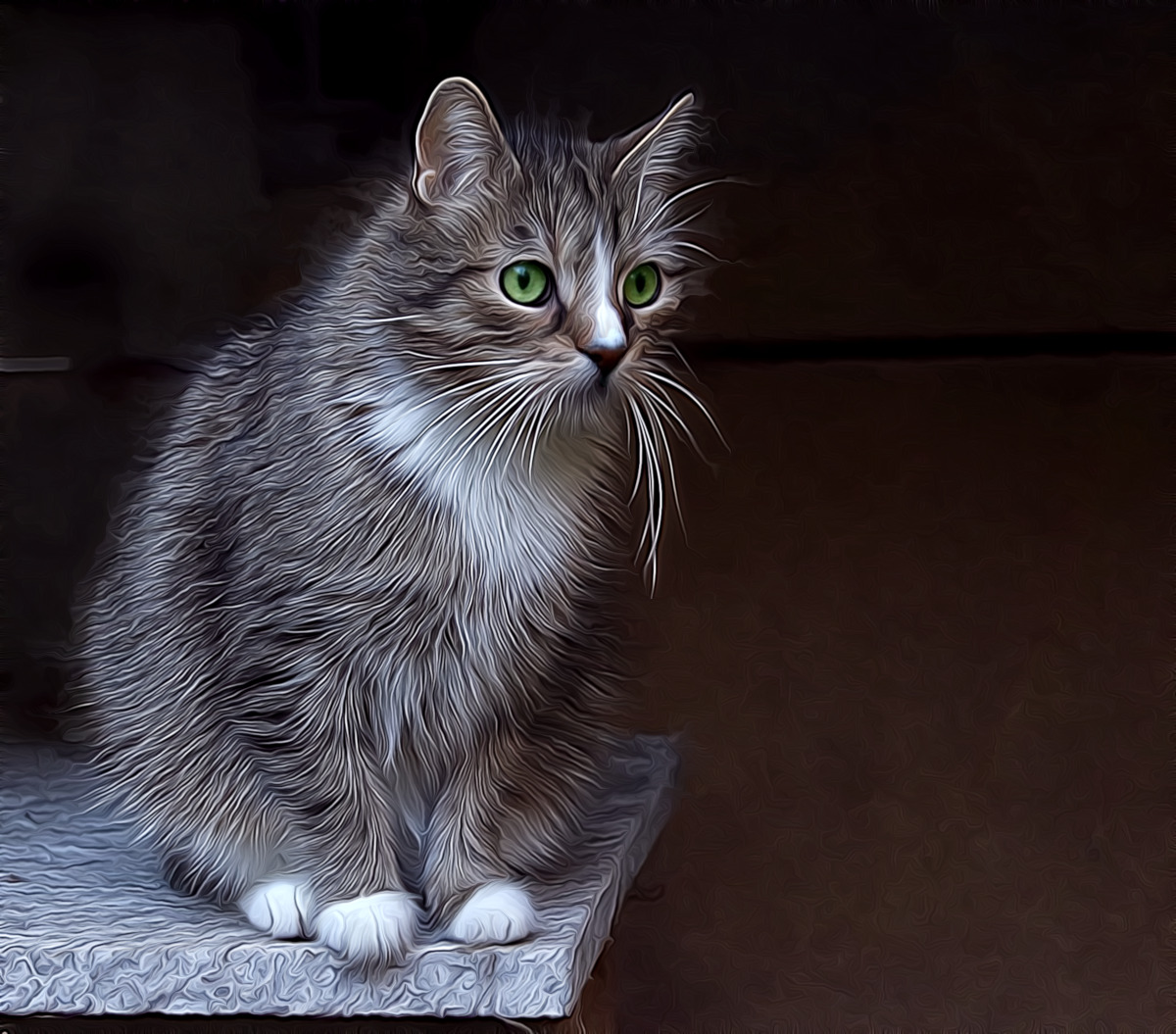 Cat_dreamSmooth.jpg