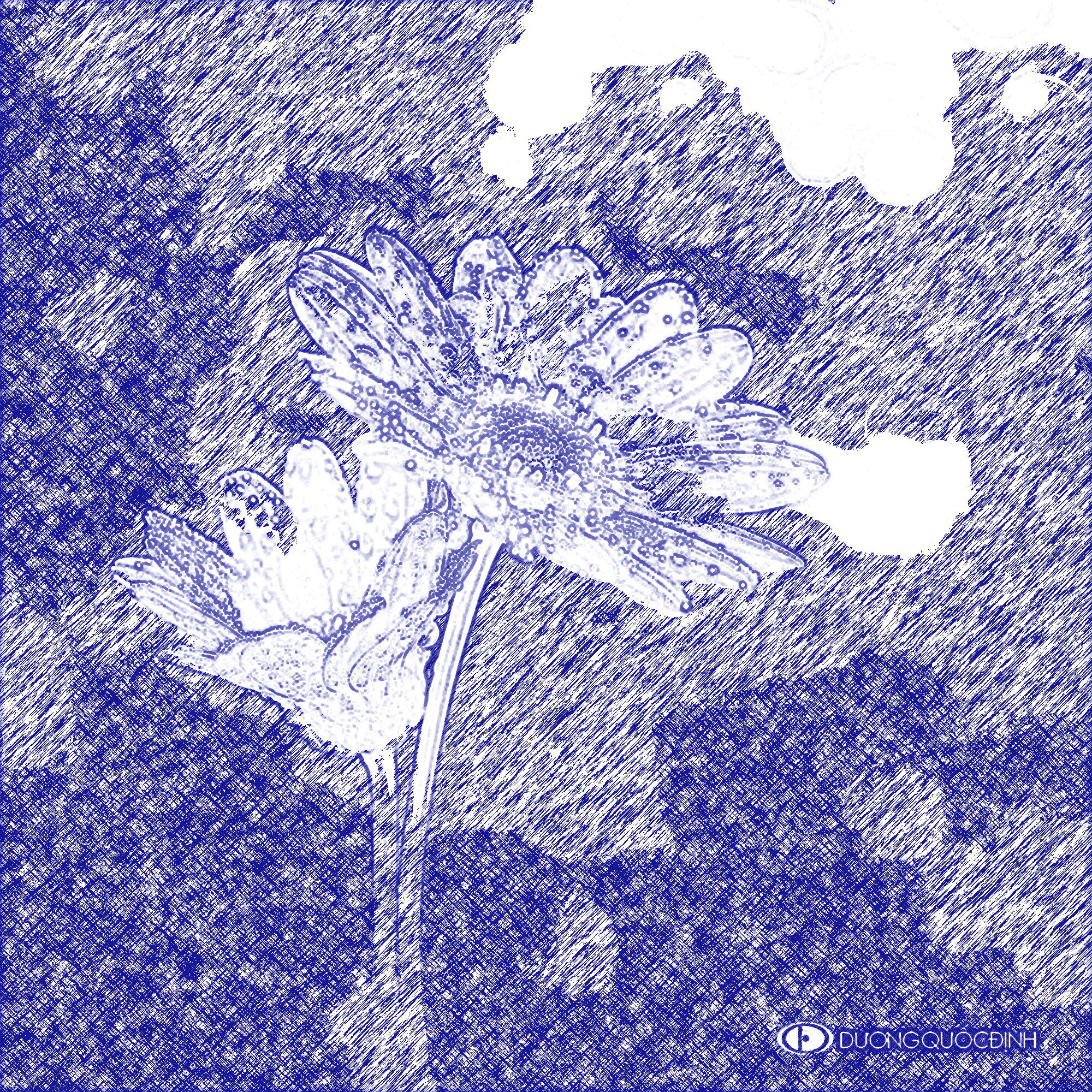 hl_073_by_duongquocdinh_d7d86z7_Ink-Pen Drawing Effect_Issa.jpg