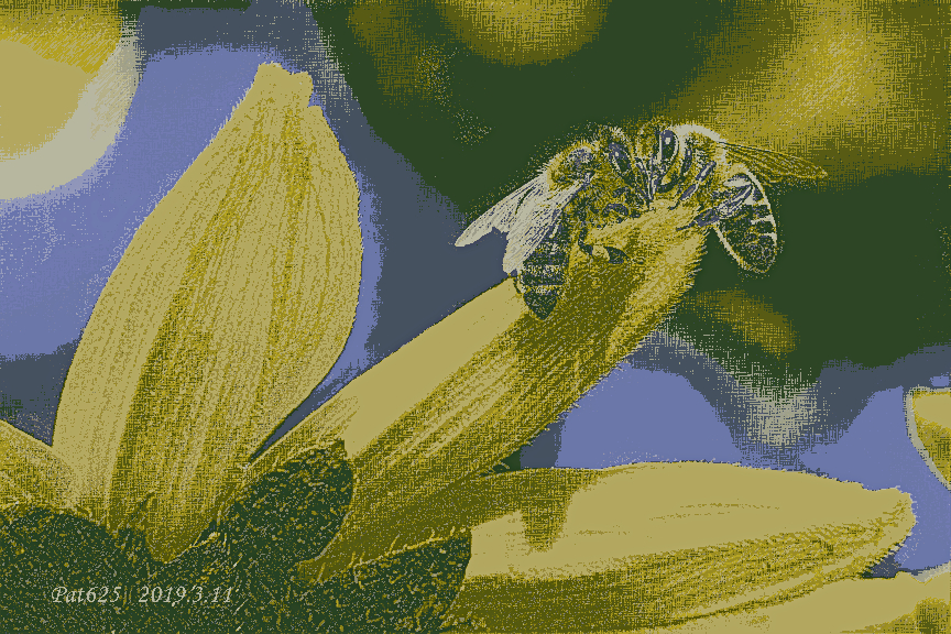 Issa Tut.Inkpen draw.Bees 2 color.jpg