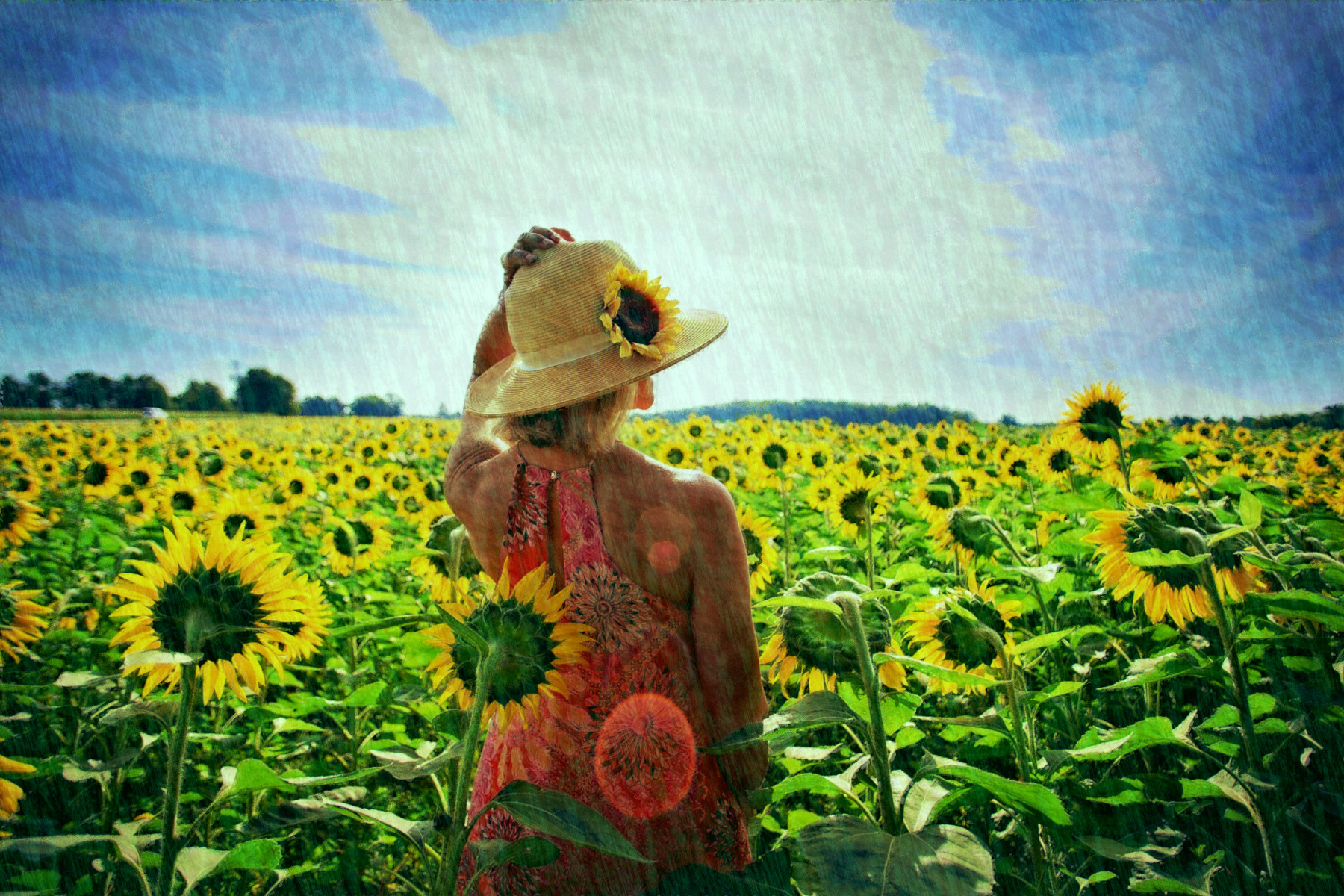 2019-03-21 10-48-31 sunflowers-3640935_1920, using FPS26, on 30 areas, nuance=Cya.jpg