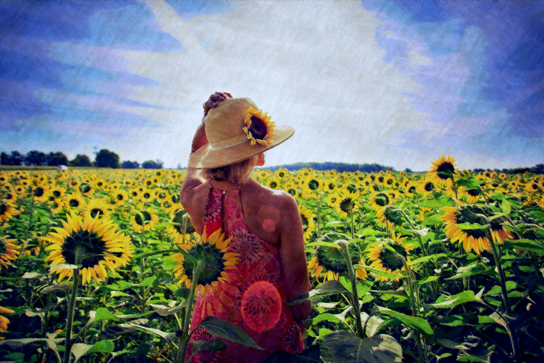 2019-03-21 10-49-37 sunflowers-3640935_1920, using FPS26, on 30 areas, nuance=Blu.jpg