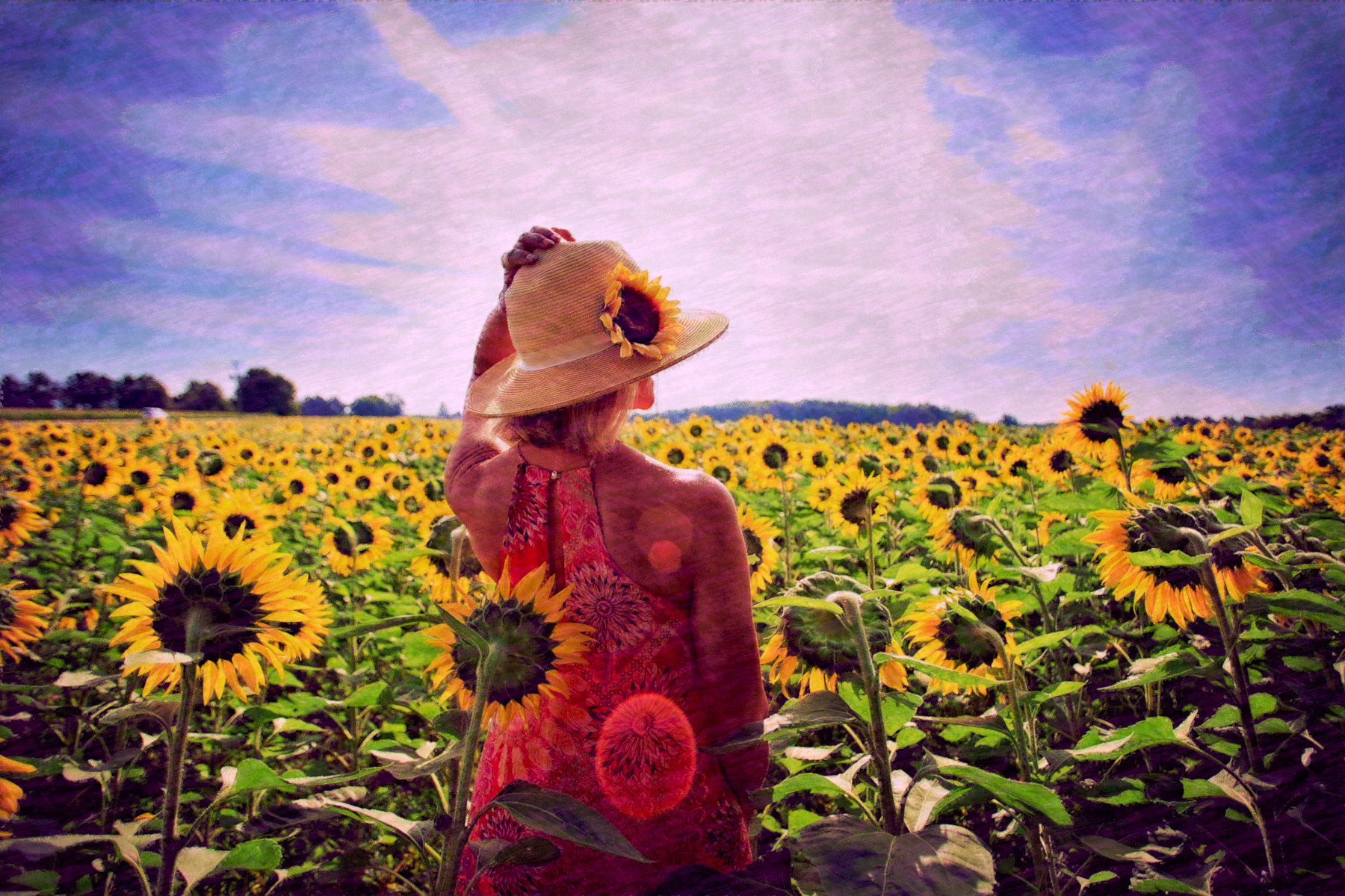 2019-03-21 10-50-50 sunflowers-3640935_1920, using FPS26, on 30 areas, nuance=Mag.jpg