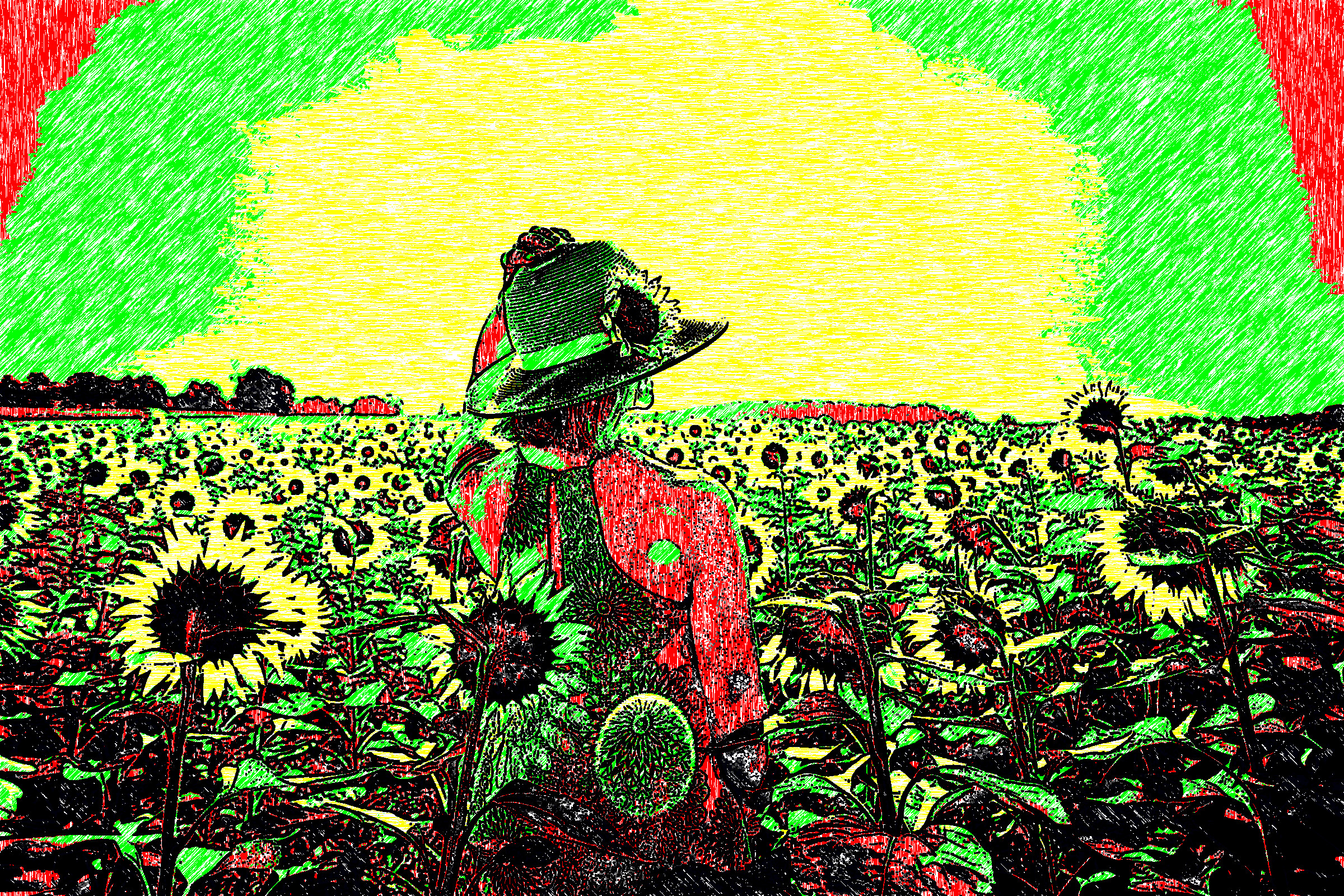 sunflowers-3640935_1920.jpg_inkpen-new (PP).jpg