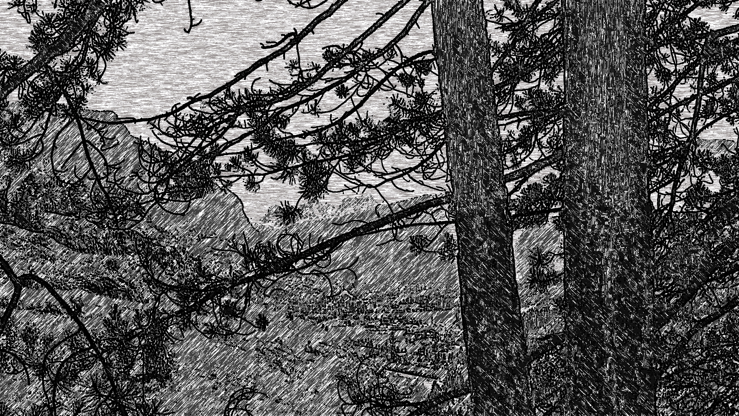 2019-03-27 08-09-38 Dolomiti_1981_dia619 as an ink-pen drawing (4 areas).jpg