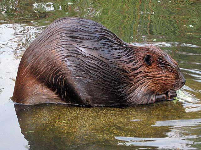 IMG_0222-blg-orgin.jpg