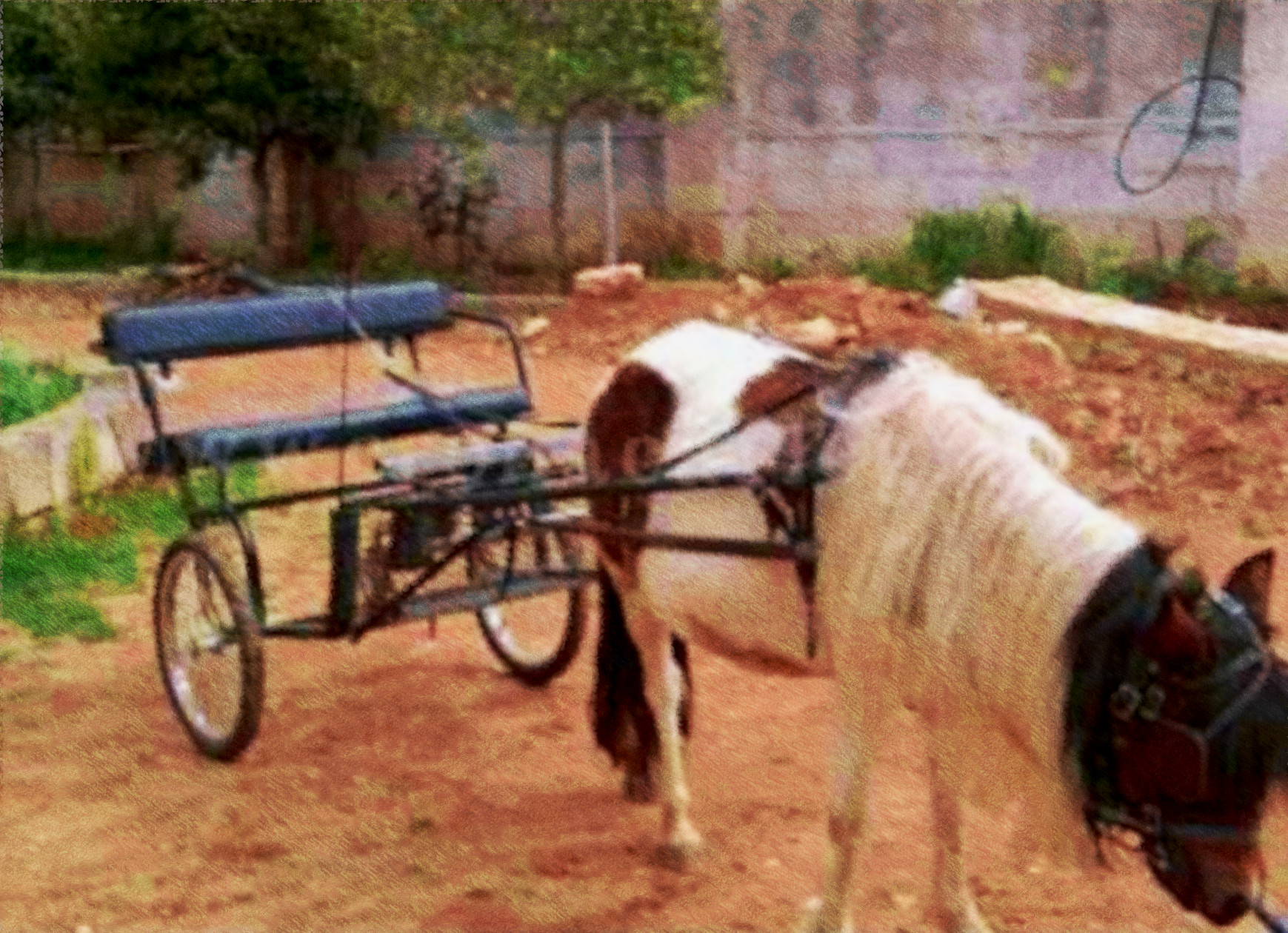 2019-03-29 06-46-38 pony, using FPS31, on 30 areas, nuance=none.jpg