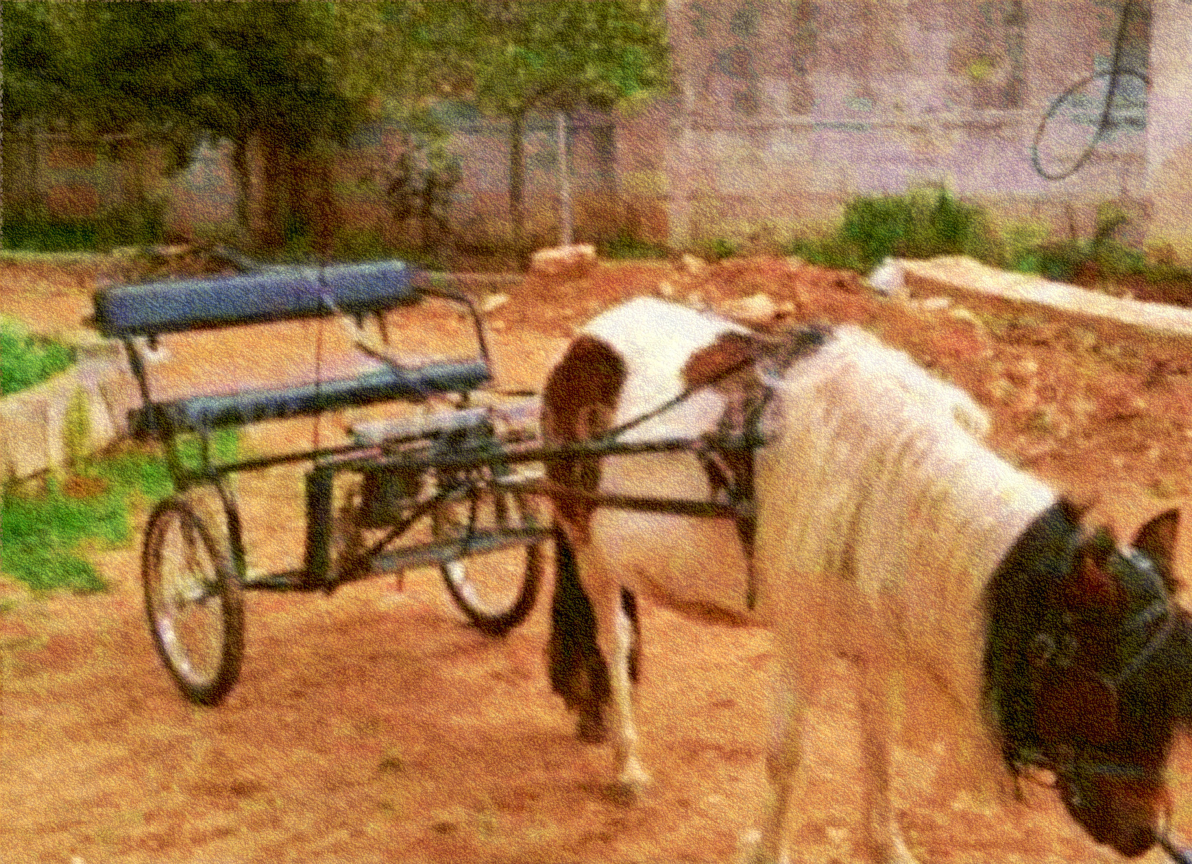 2019-03-29 07-03-39 pony, using FPS31, on 30 areas, nuance=Yel.jpg