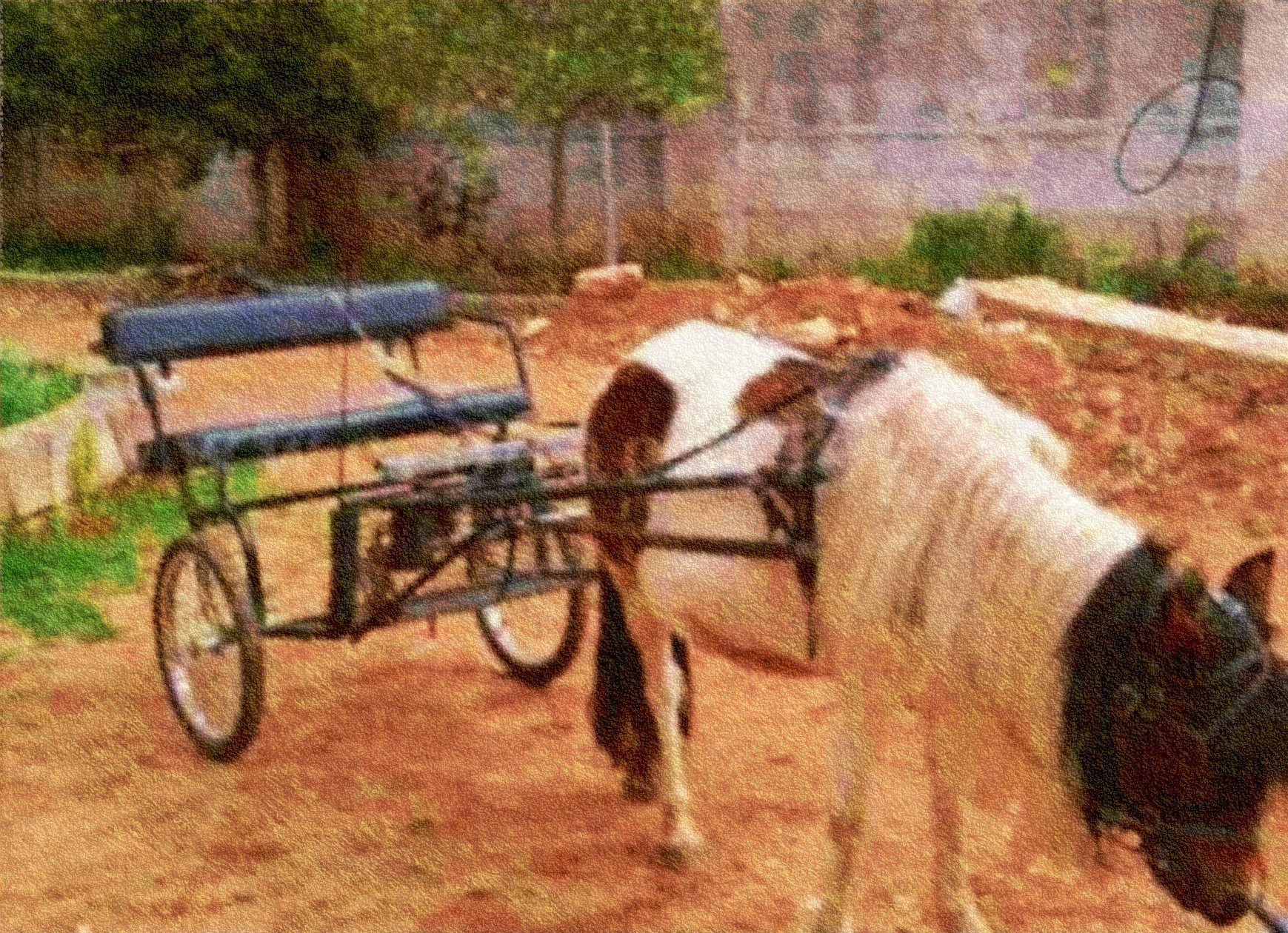 2019-03-29 07-05-13 pony, using FPS31, on 30 areas, nuance=Ora.jpg