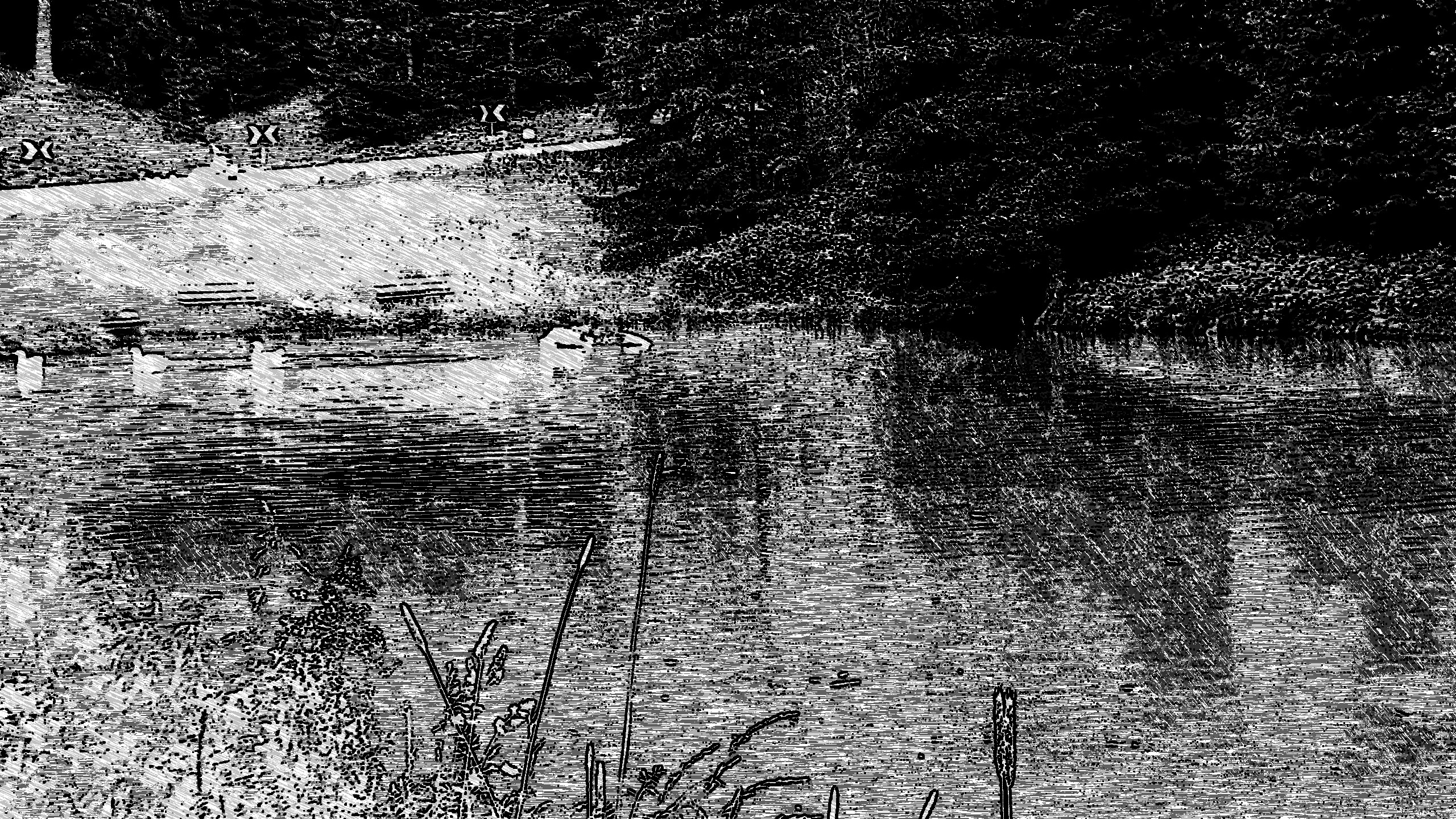 2019-03-31 08-05-07 Dolomiti_2012_Samsung_2012-07-07_SAM_0284 as an ink-pen drawing (4 areas) BW.jpg