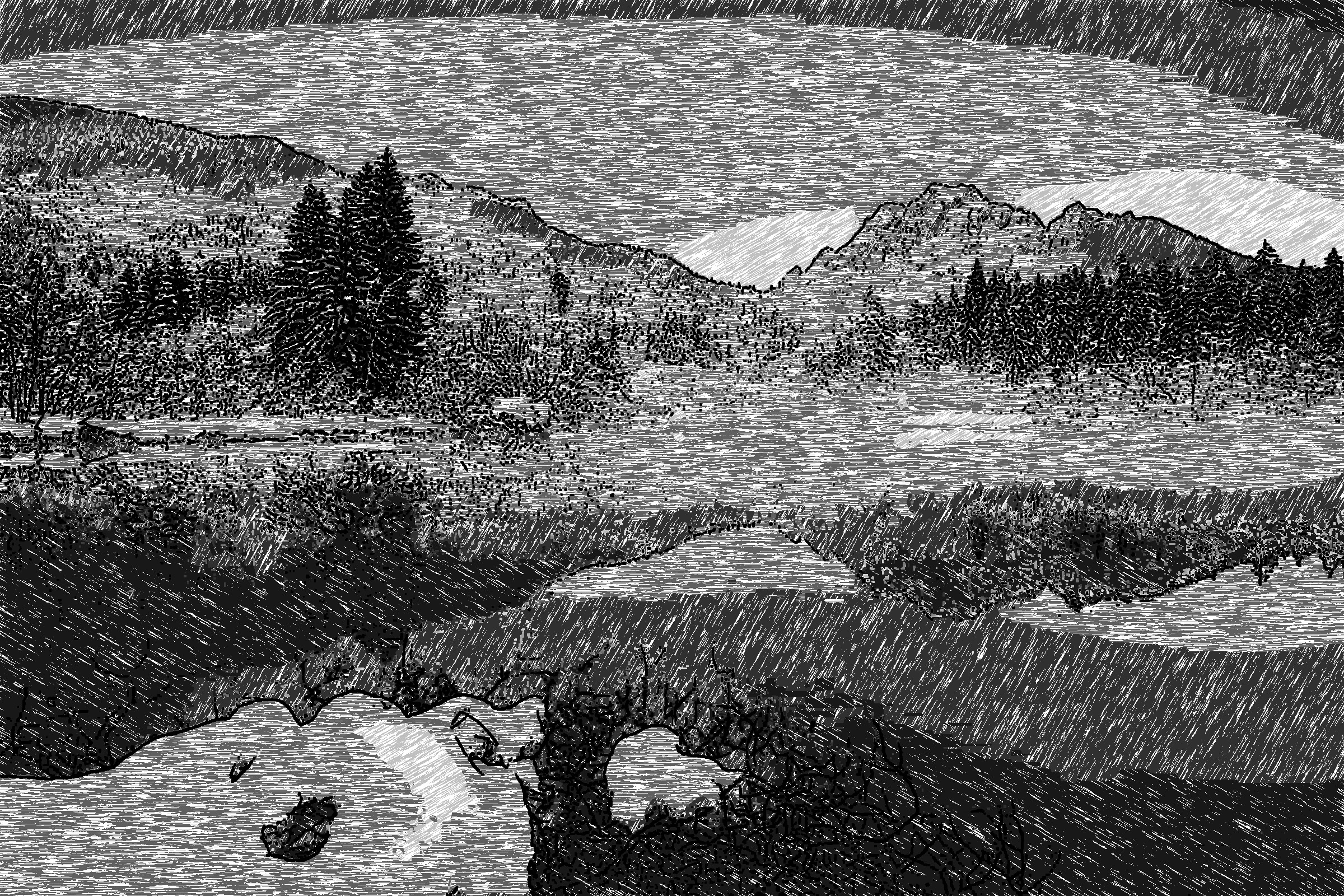 2019-04-04 15-02-32 zelenci_by_roblfc1892_dd0l3e5-pre as an ink-pen drawing (4 areas)_BW.jpg