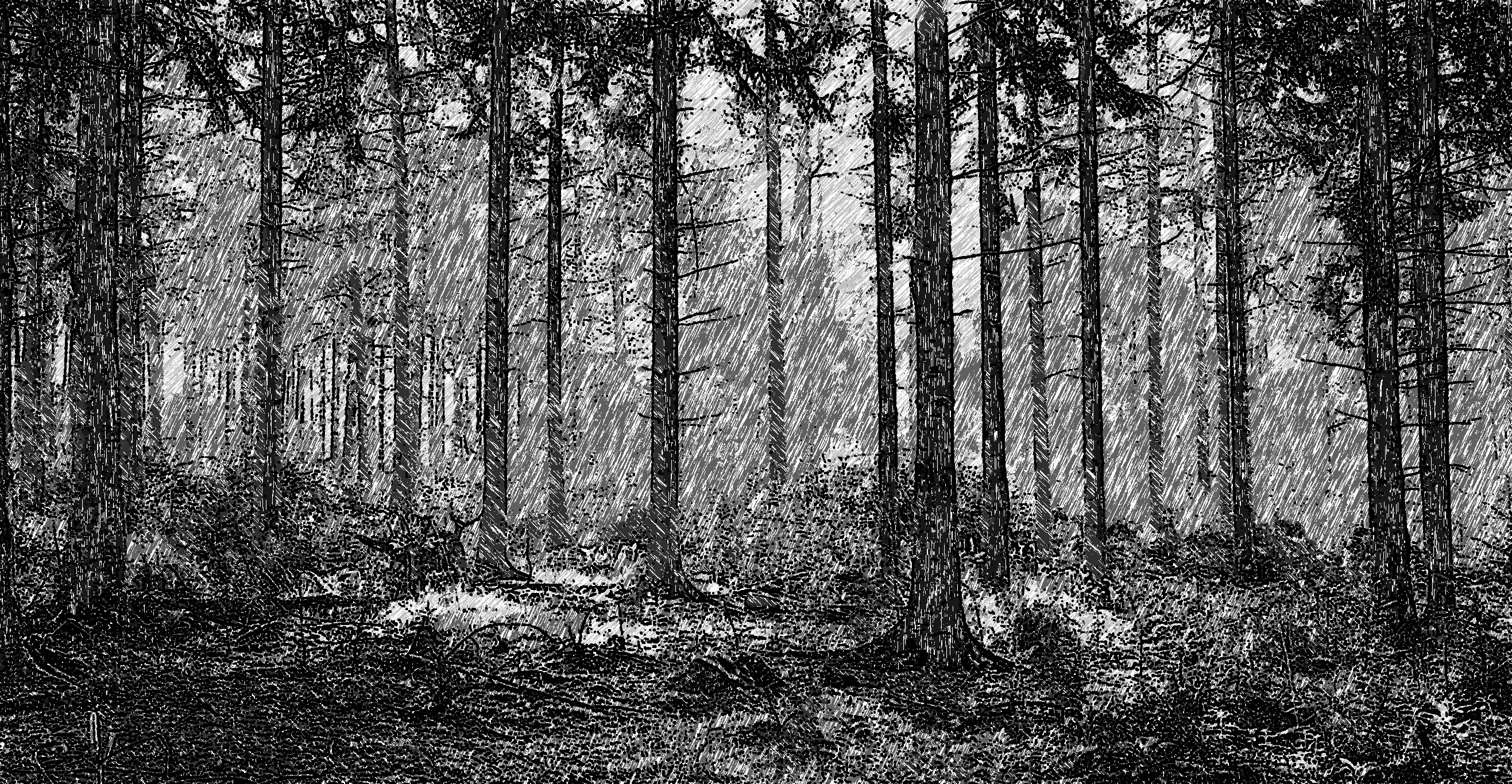 2019-04-06 11-31-54 stock-forest-wood-england-UK-1550x804 as an ink-pen drawing (4 areas)BW.jpg