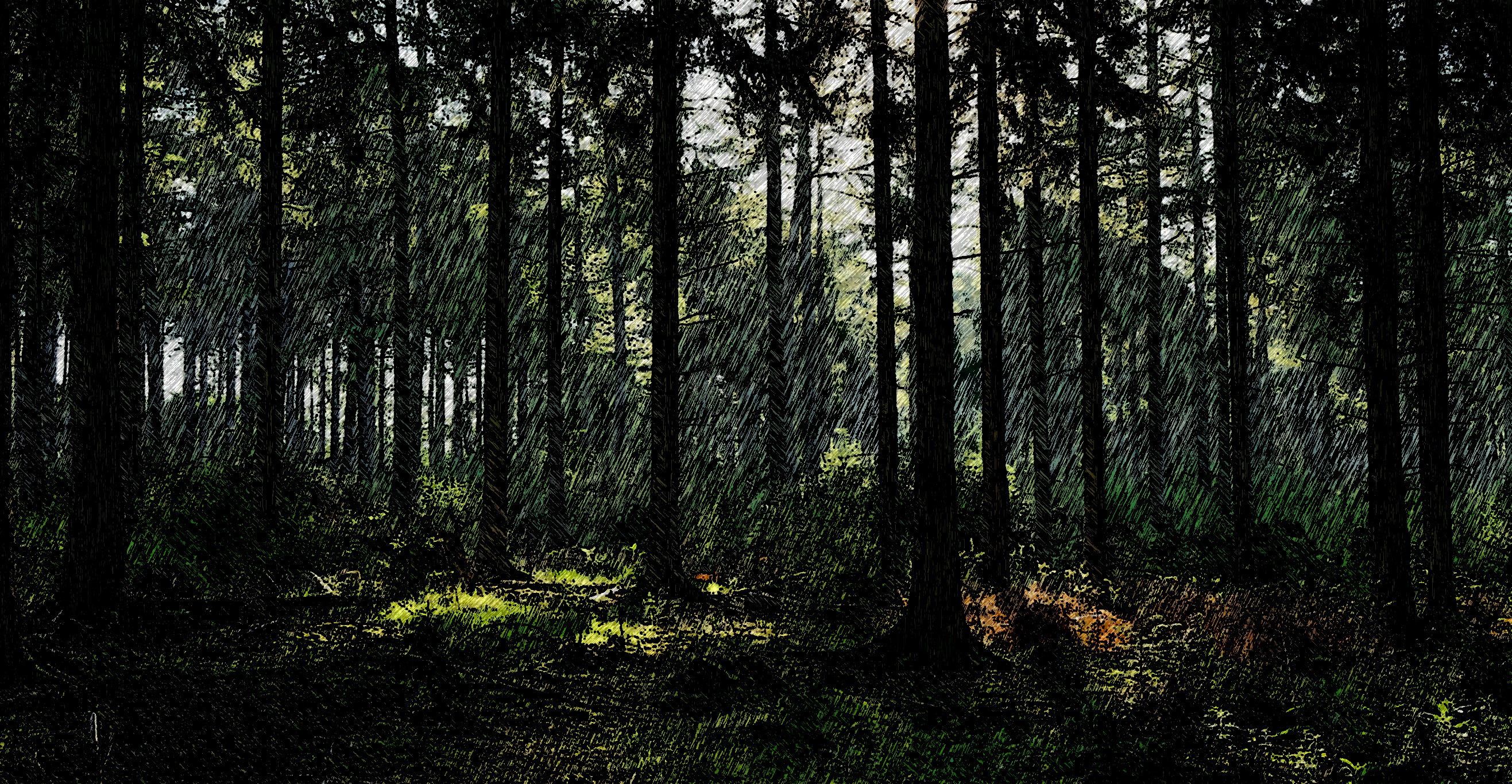 2019-04-06 11-31-54 stock-forest-wood-england-UK-1550x804 as an ink-pen drawing (4 areas)LinearBurn.jpg