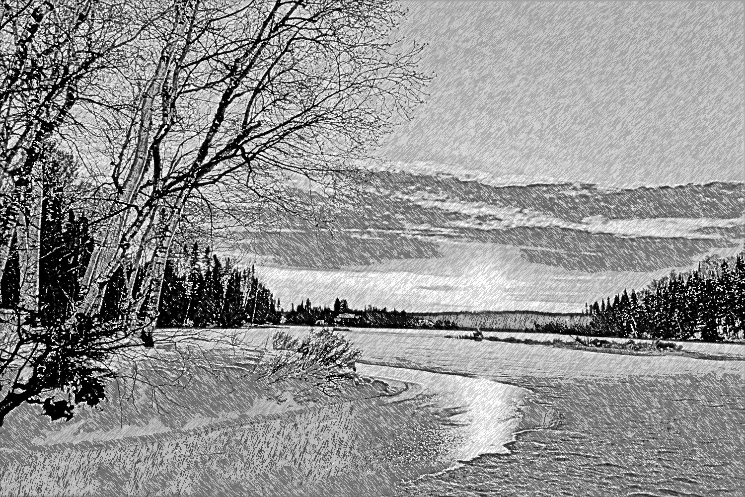 Winter.Black.White.jpg