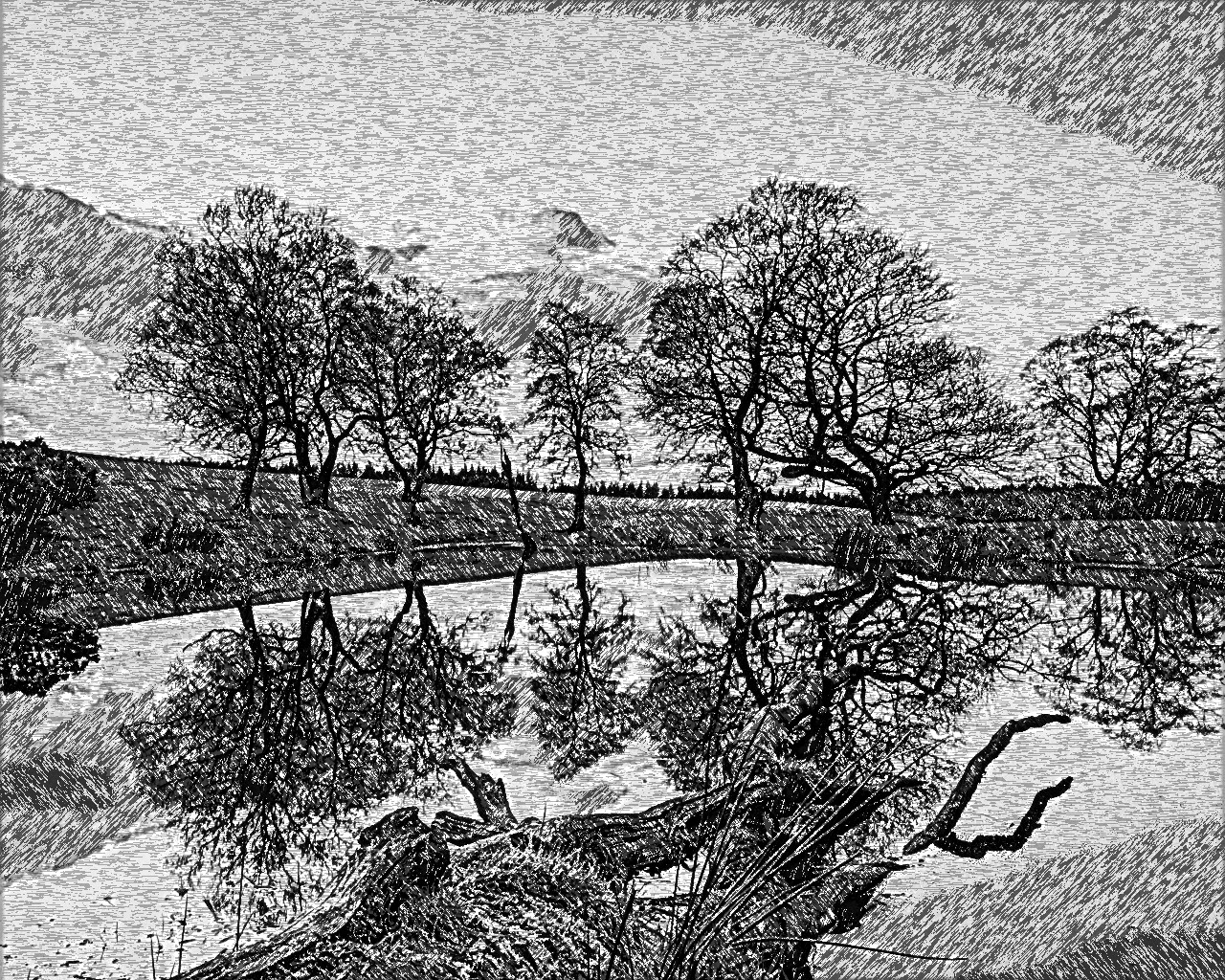 hidden_lake-wallpaper-Black_Ink-Pen_Issa.jpg