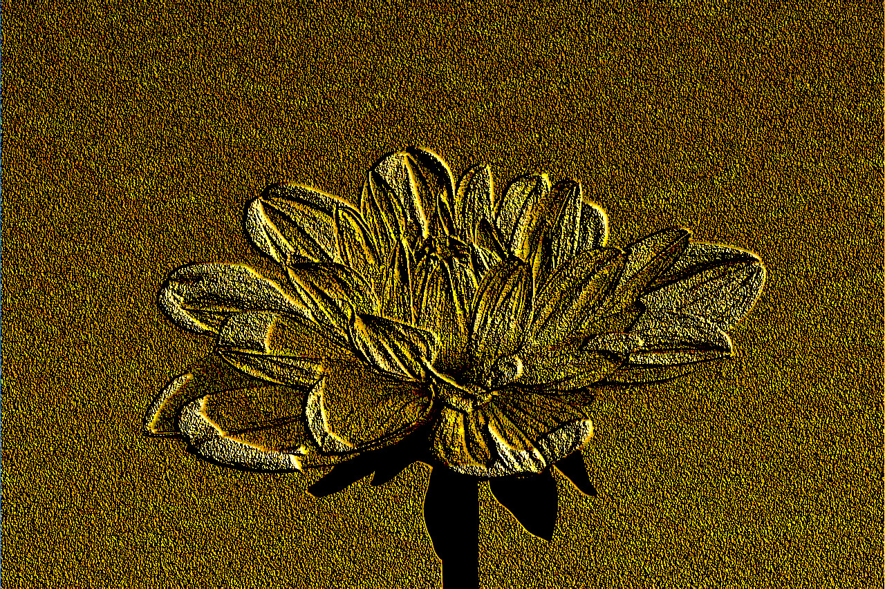 dahlia-1627138.jpg