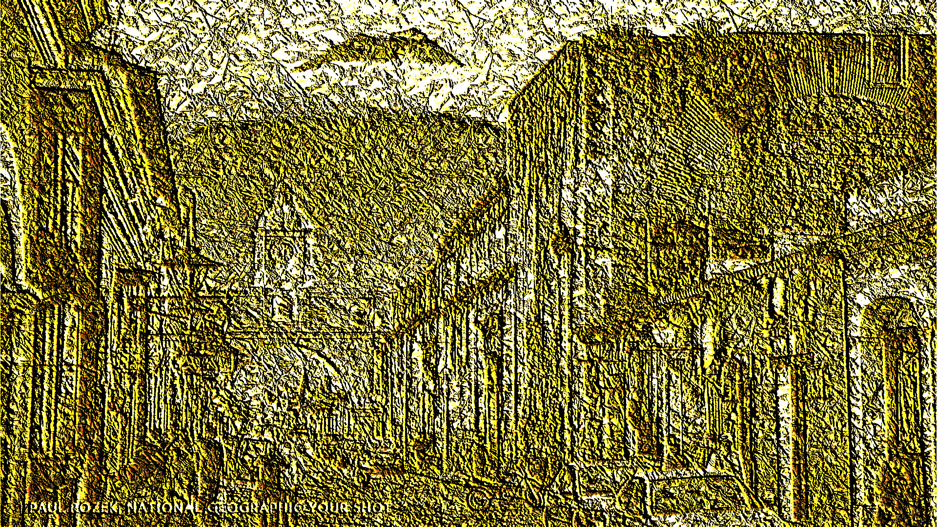 2019-04-11 08-51-23 D3FL4XUWkAIvUXK, Golden Embossed.jpg