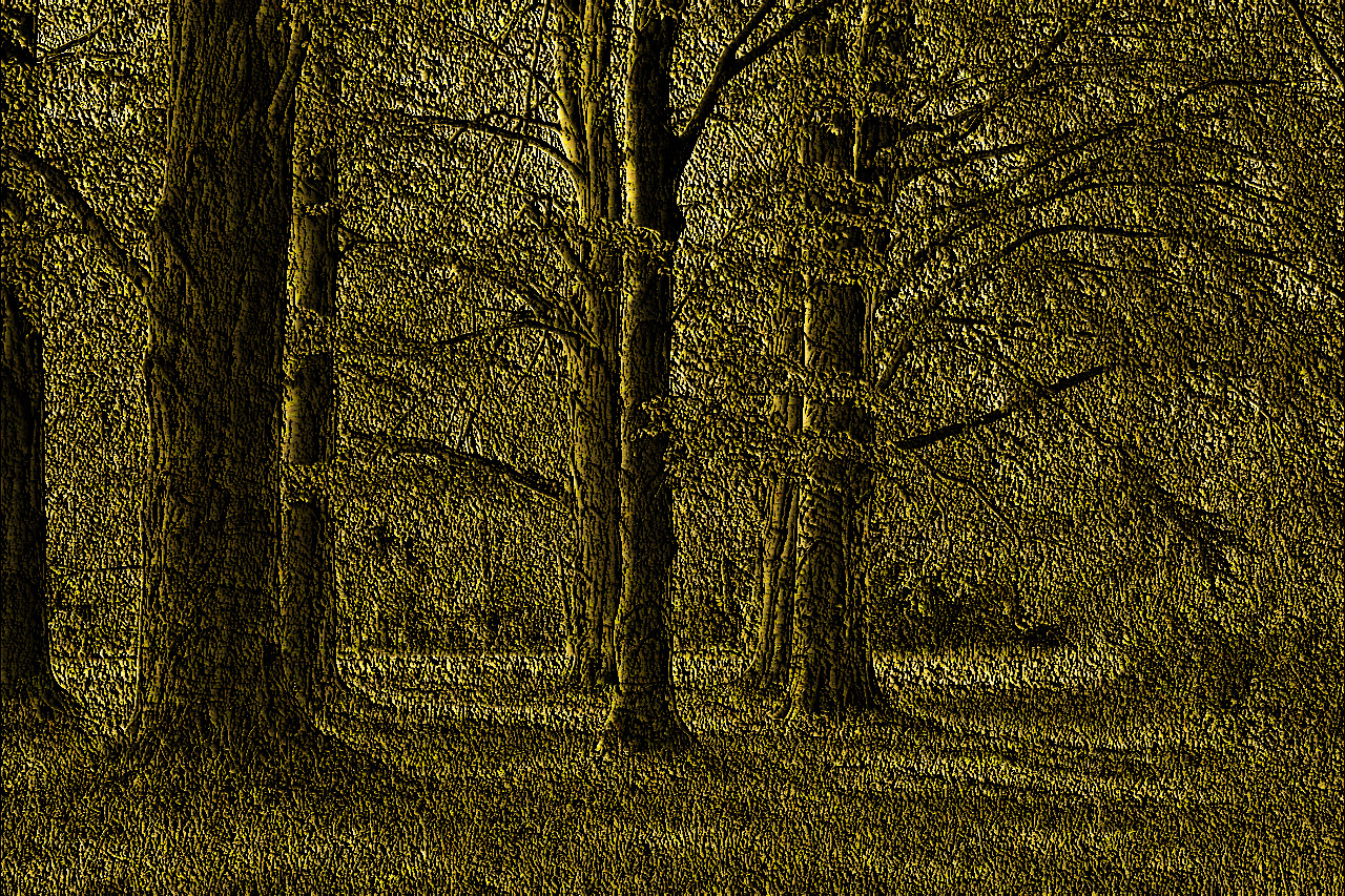 tree-3229512_Golden Effect_DN Style.jpg