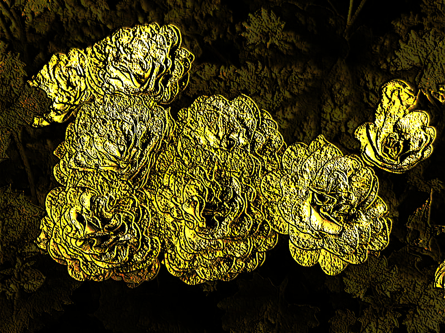 2019-04-11 09-08-08 Primula%20Belarina, Golden Embossed.jpg