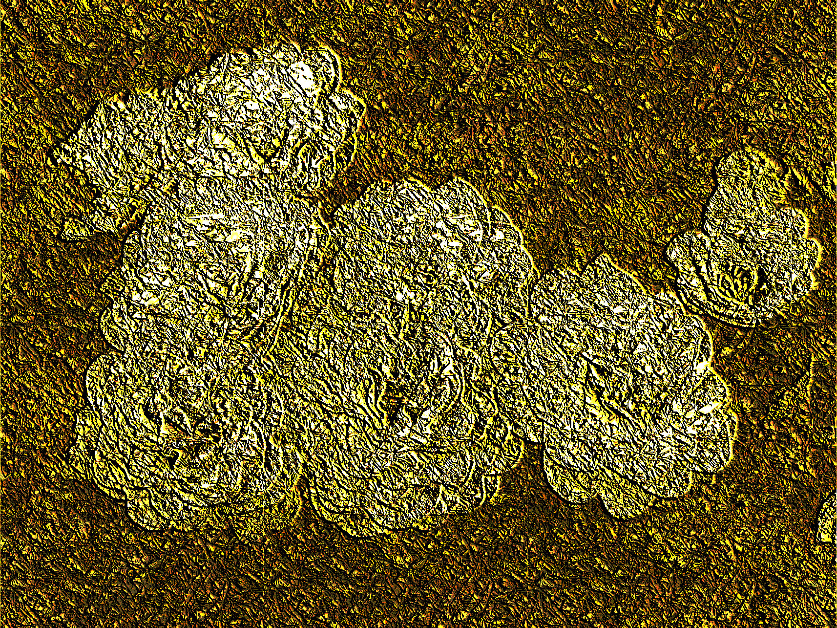 2019-04-11 09-09-10 Primula%20Belarina, Golden Embossed (variant).jpg