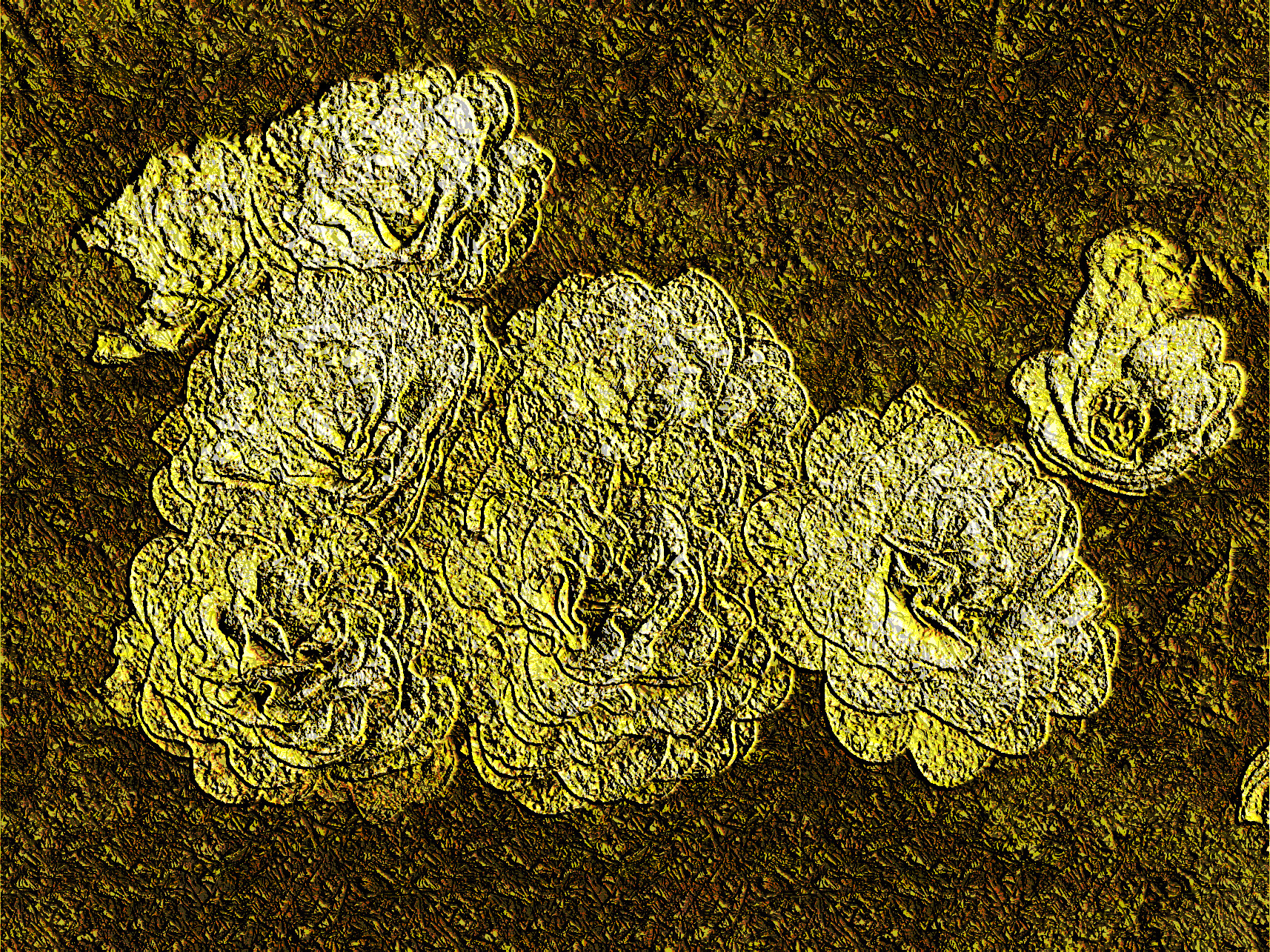 2019-04-11 09-09-10 Primula%20Belarina, Golden Embossed (combo).jpg