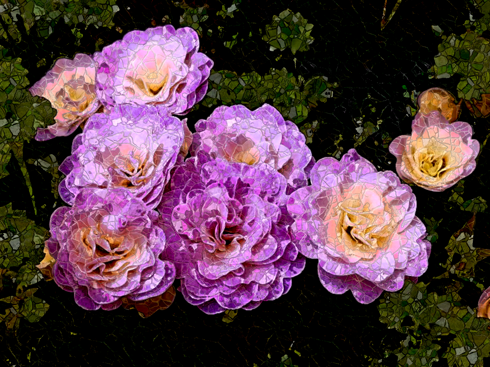 2019-04-11 09-16-30 Primula%20Belarina, as a simple stone mosaic, on 10 areas.png