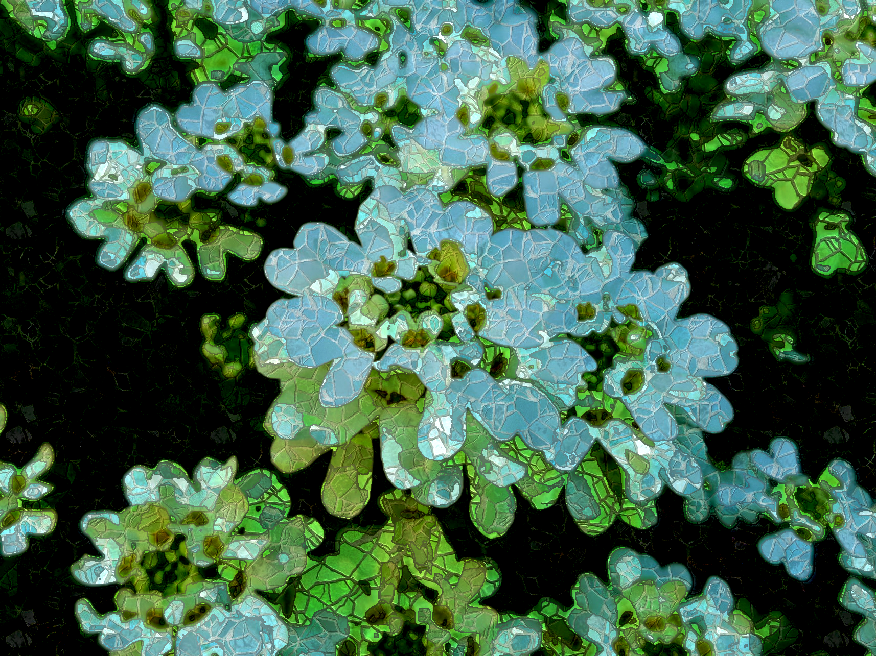2019-04-11 16-54-56 IberisSempervirens, as a simple stone mosaic, on 8 areas, over-stroked.png