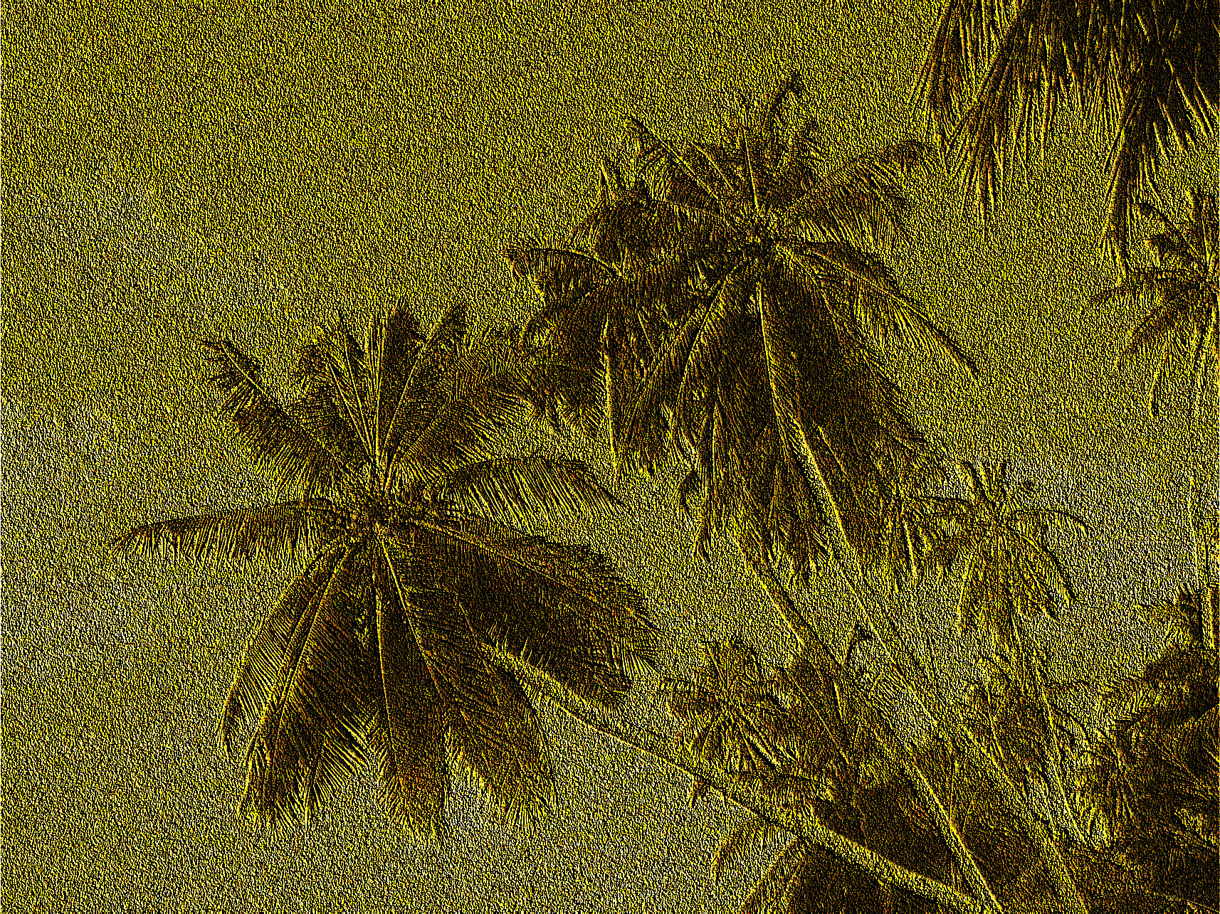 2019-04-13 15-48-15 palme_43wg1, Golden Embossed.jpg