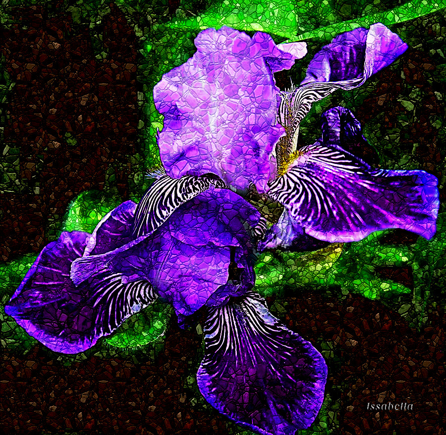 iris_by_vdragosphotography_dd2qnwf-fullview_NewMosaic_DN_Style.jpg