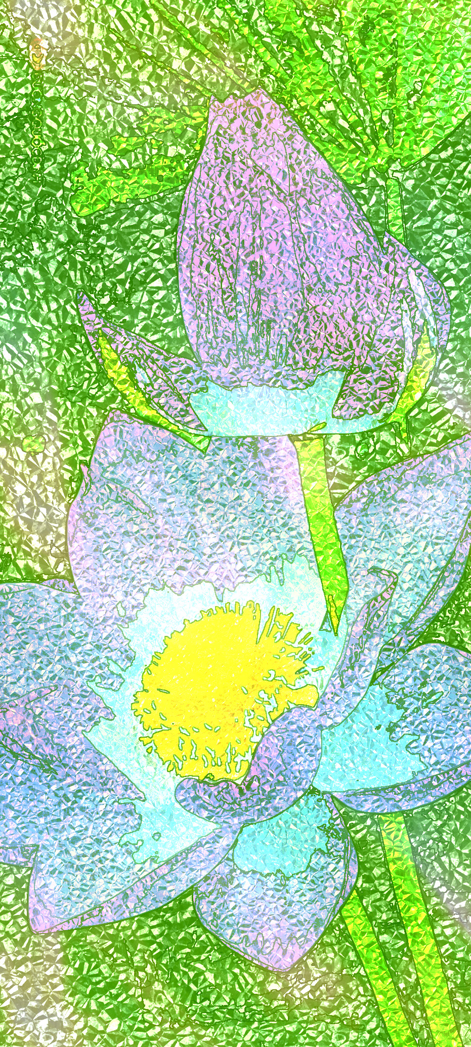 2019-05-16 Continuing-my-experiments_3.jpg