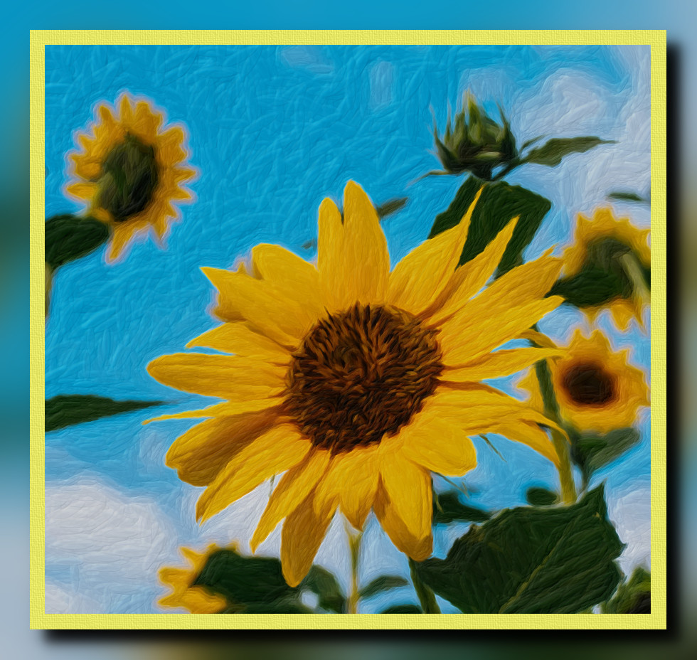 Sunflowers.jpg