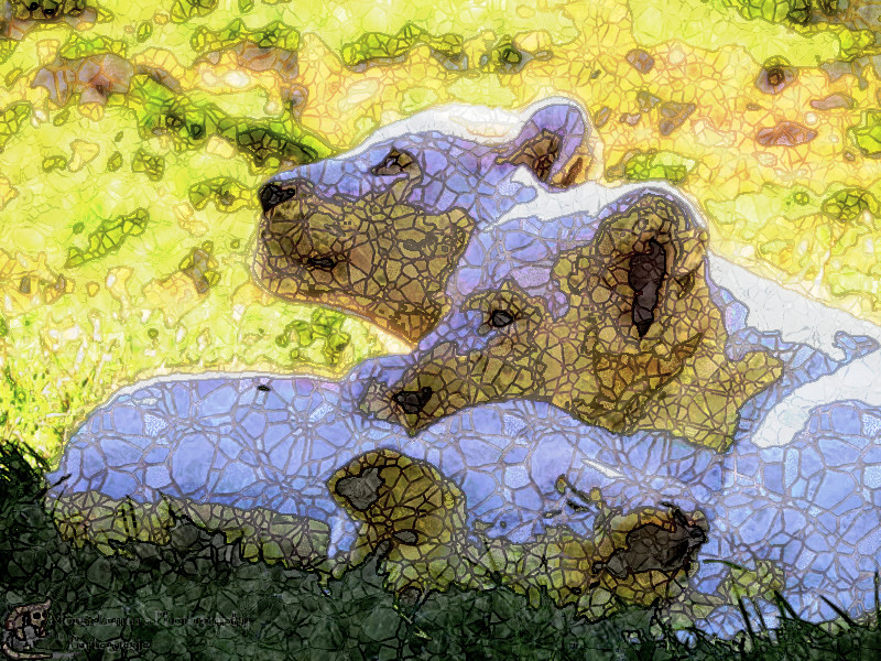 2019-05-26 08-51-47 i_ll_keep_watch_while_you_sleep_by_mouselemur_dcxxhf5-fullview, as a simple stone mosaic, on 11 areas, using Mosaic group = NSBrokenH.jpg