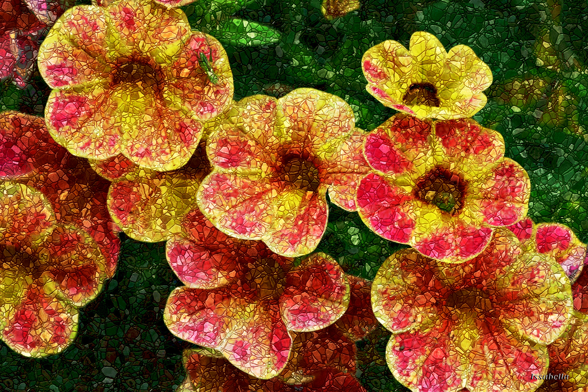 pink-and-yellow-petunias-NewMosaic_DN_Style_Issa.jpg