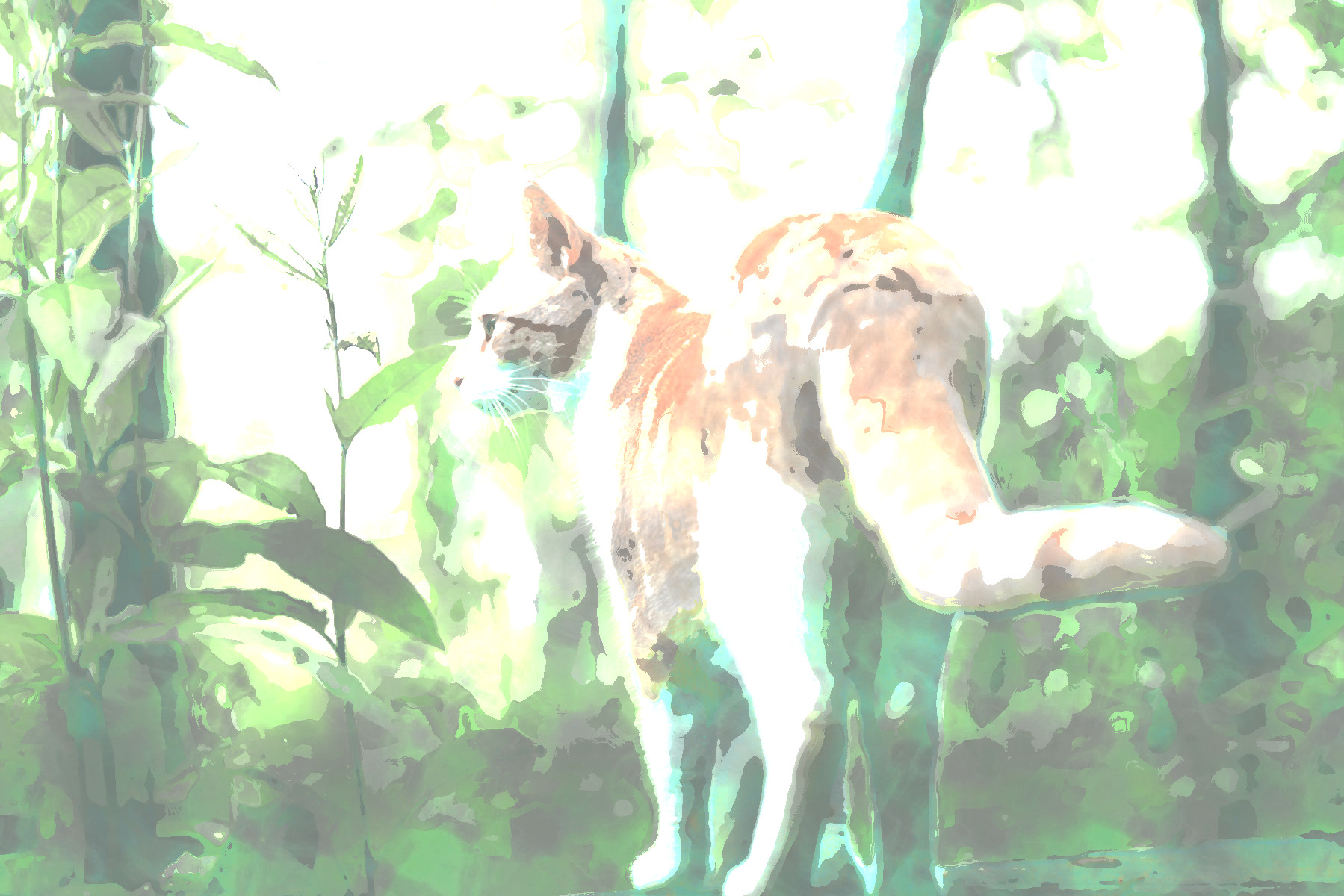 2019-06-16 12-34-42 dd98utk-b806a6e4-57fd-4302-8a9d-1f93f62f9a1a, using FPSRR07, on 32 areas, over-strokes=2.jpg
