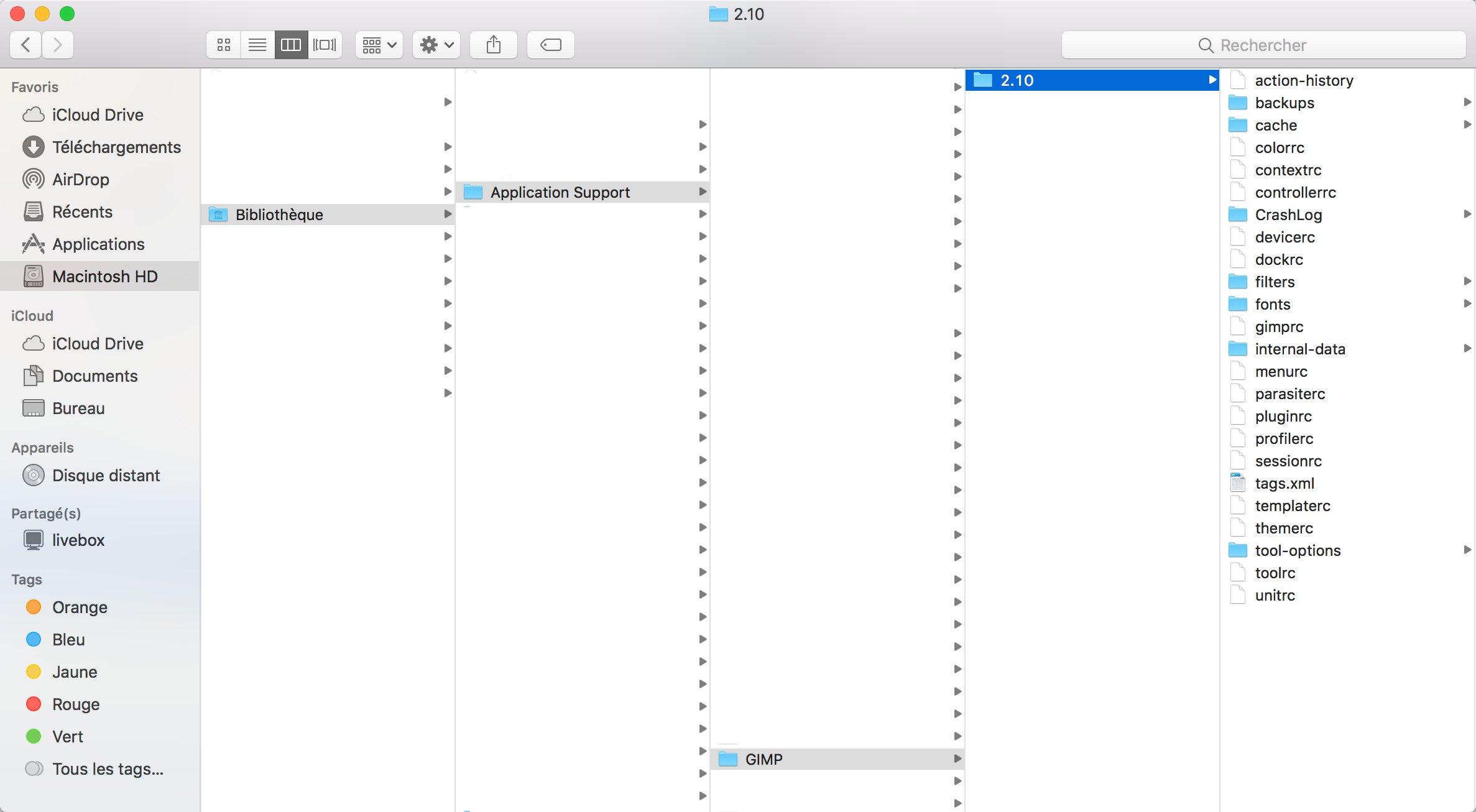 Library - App Support - GIMP.png