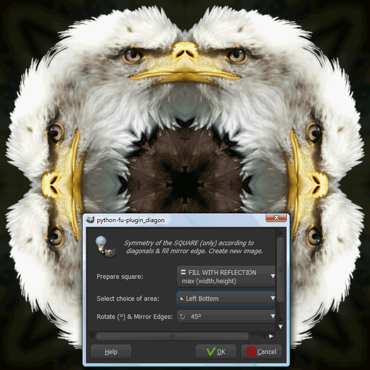Symmetry diagonal.png