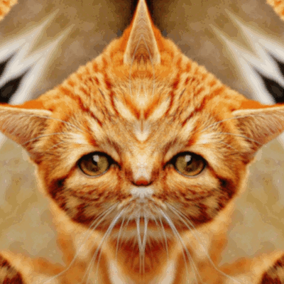 Symdiag-2.gif