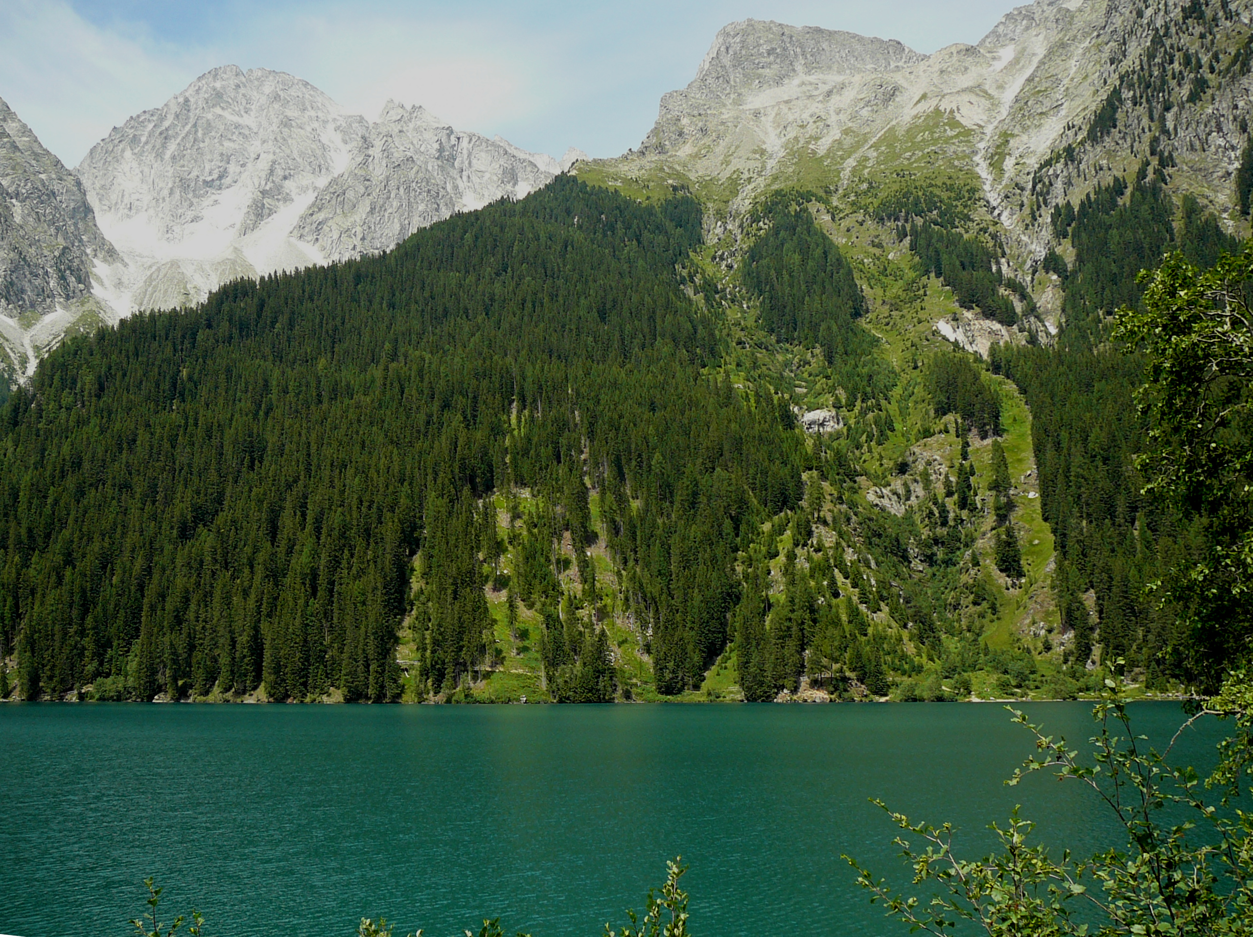 P1050055.JPG