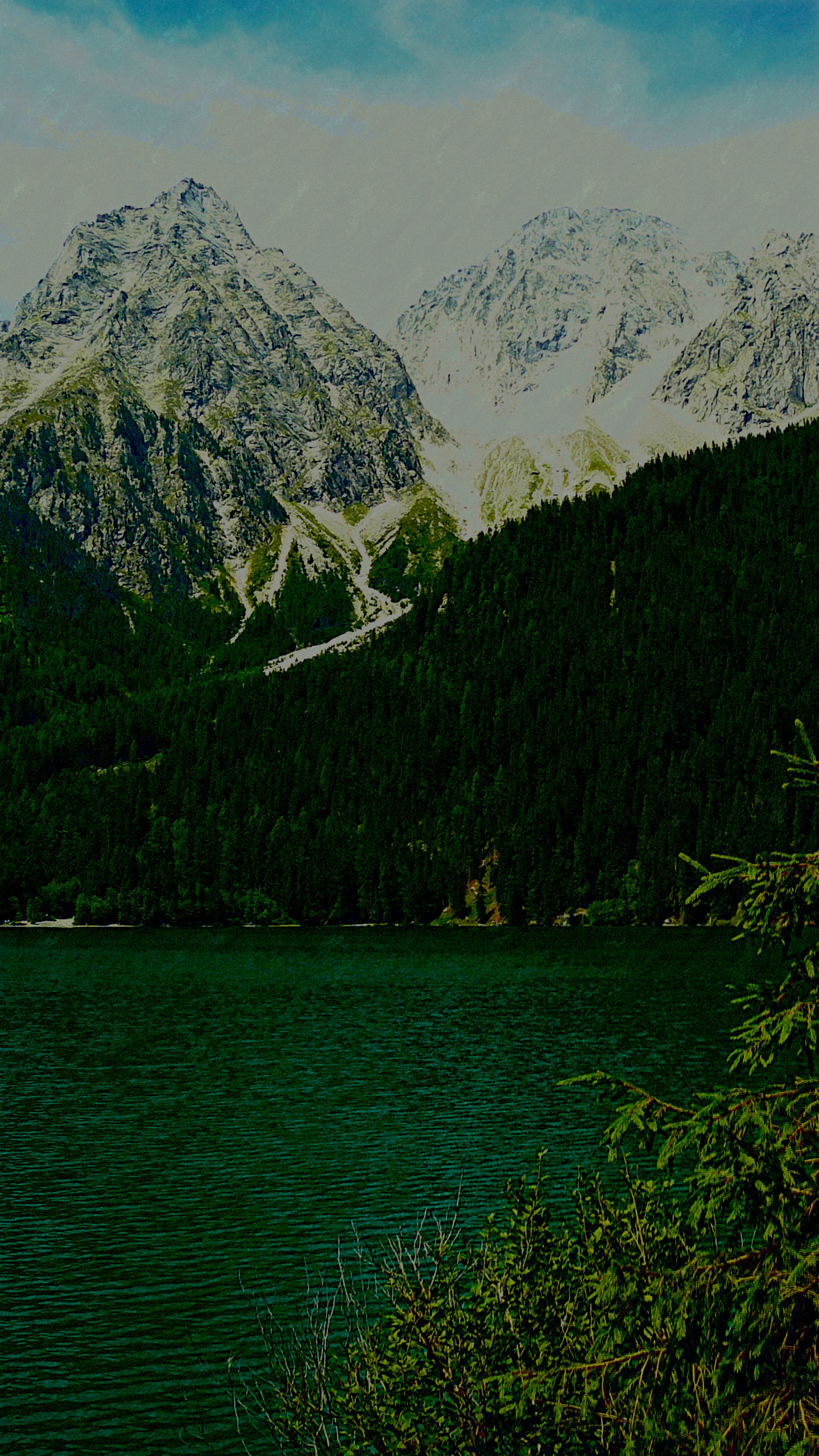 P1050060_FPSRR51.JPG