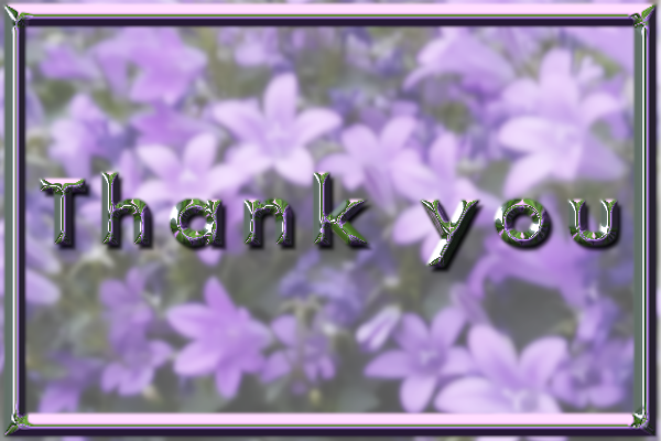 Untitled.png