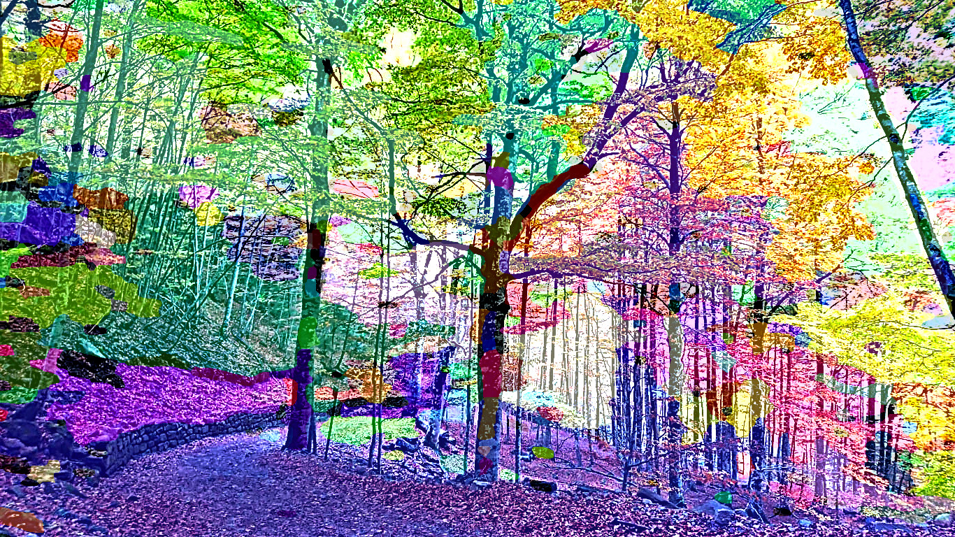 Pyrenees-DN_PosterizeFilling_Issa.JPG