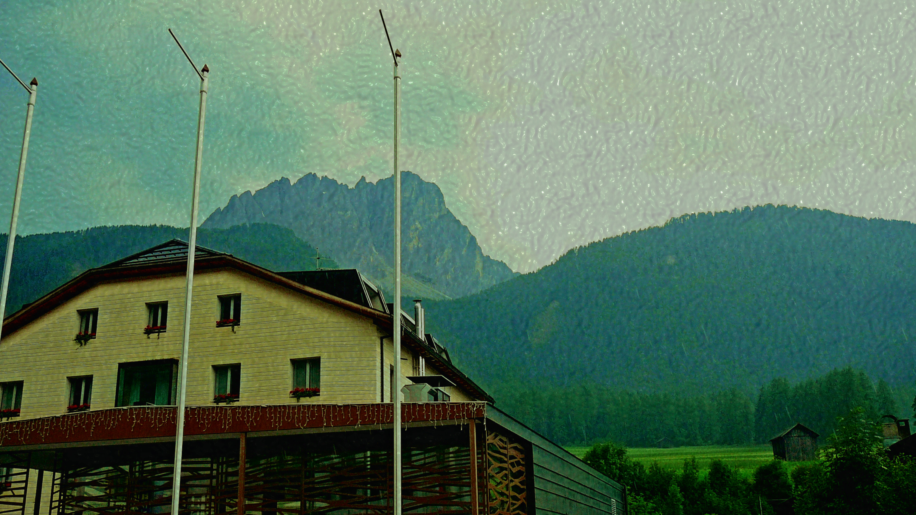 P1050167_FPSnew46.JPG