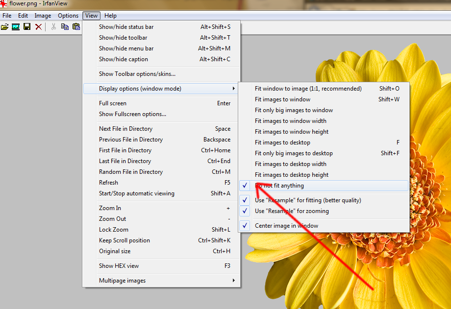 viewsettings.png